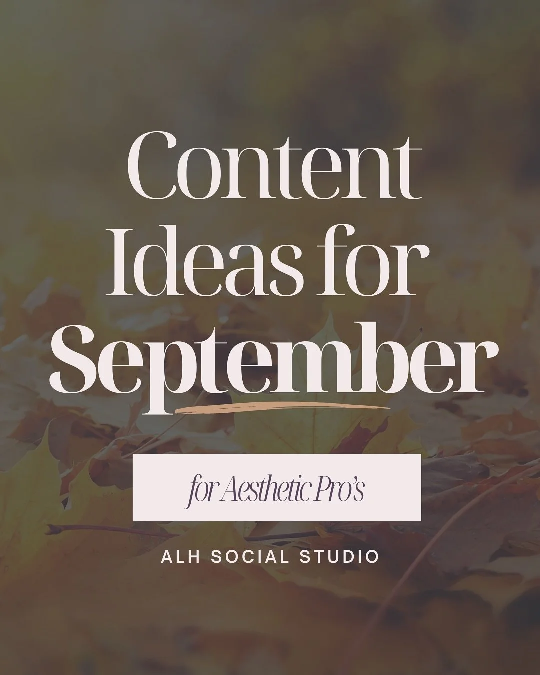 September Content Ideas for Aesthetic Providers are HERE! 
It&rsquo;s officially fall, y&rsquo;all &amp; it&rsquo;s the perfect time to refresh your Instagram strategy. 
My favorite is Slide #7 (you&rsquo;ll see why 😉).

👉 Save this post for your f