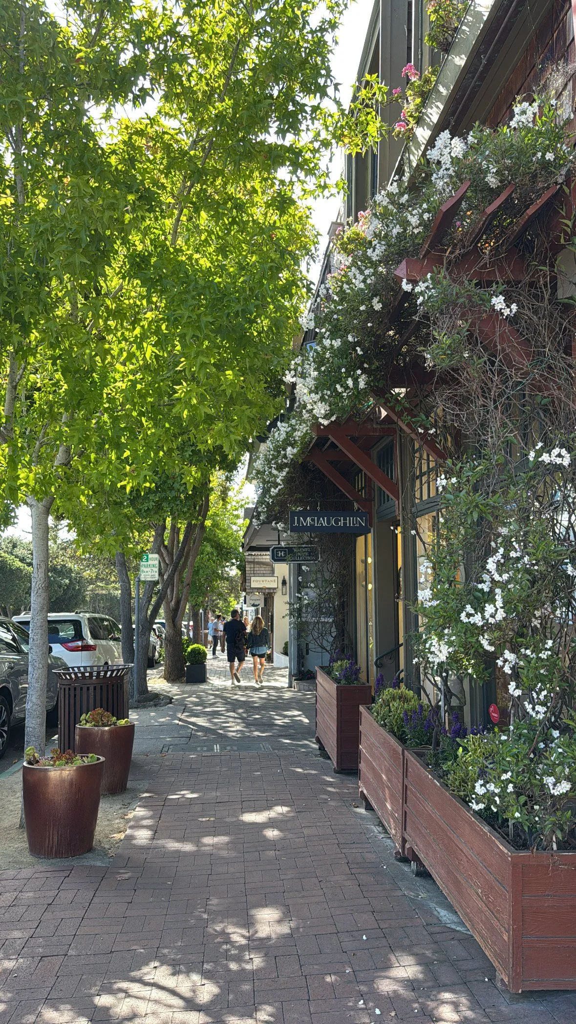 Pedestrian-friendly street in downtown Carmel featuring boutique storefronts, flowering greenery, and the relaxed coastal charm of Carmel-by-the-Sea.