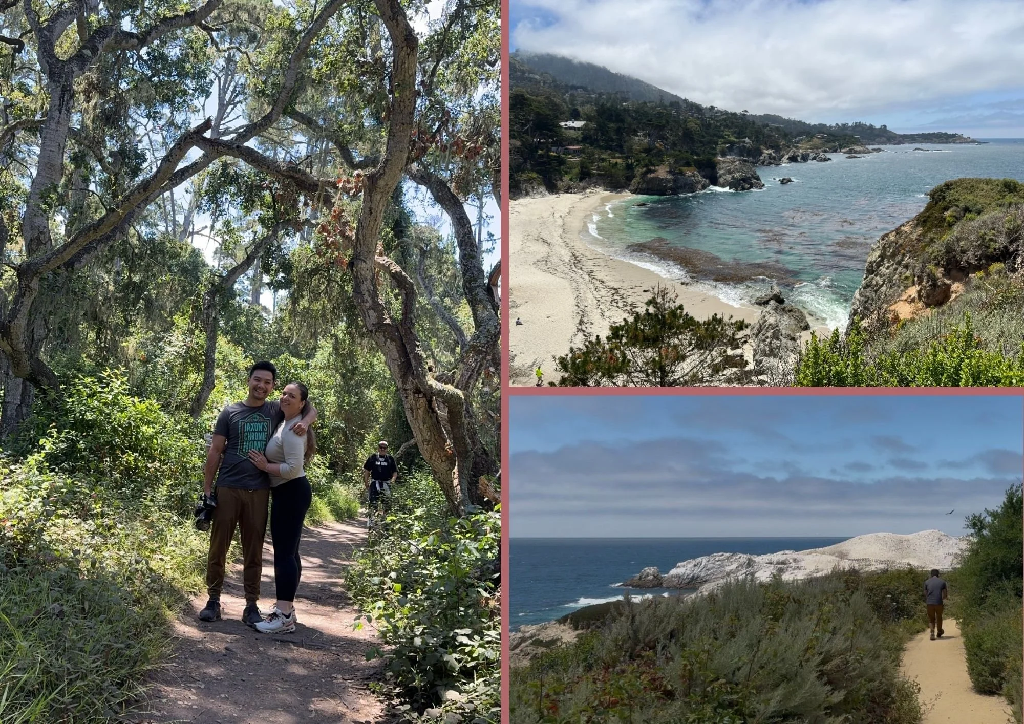 Collage of Point Lobos State Natural Reserve near Carmel-by-the-Sea featuring forest hiking trails, rugged coastline, sandy coves, and scenic Pacific Ocean overlooks.