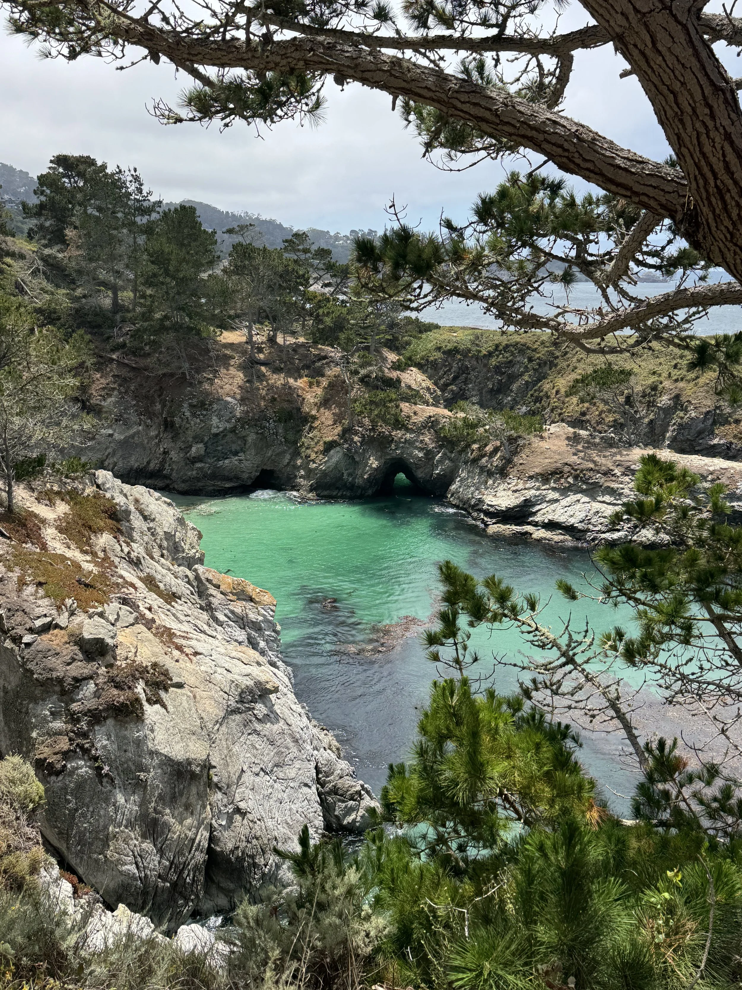 Turquoise ocean cove at Point Lobos State Natural Reserve in California, surrounded by rocky cliffs and Monterey pine trees.