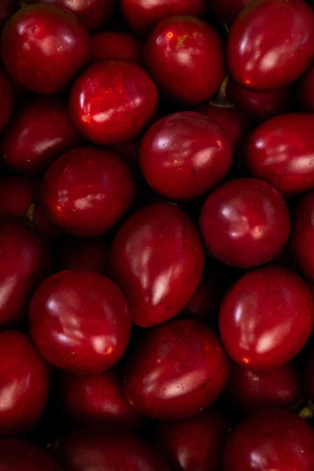 FRESH DIRECT AUCKLAND - SMALL ONLINE-24 (Large).jpg