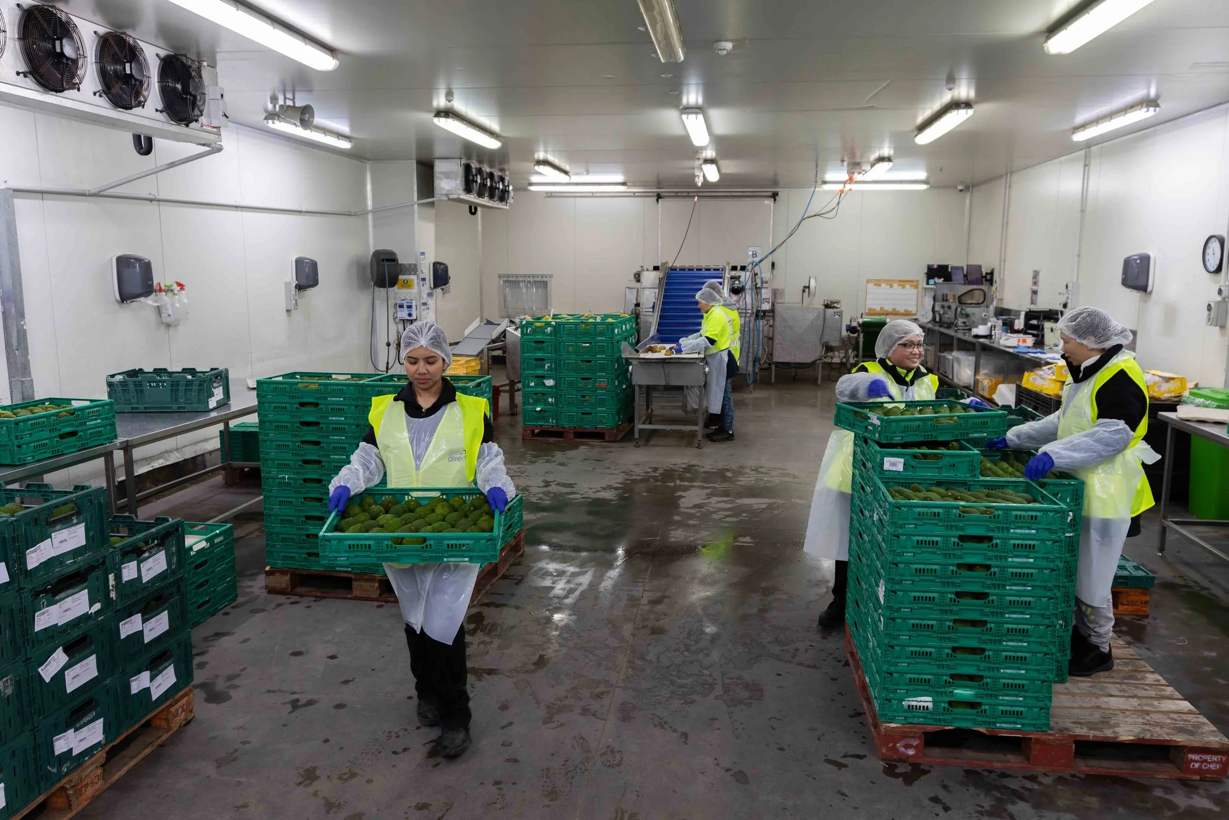 FRESH DIRECT CHCH - SMALL ONLINE-27.jpg