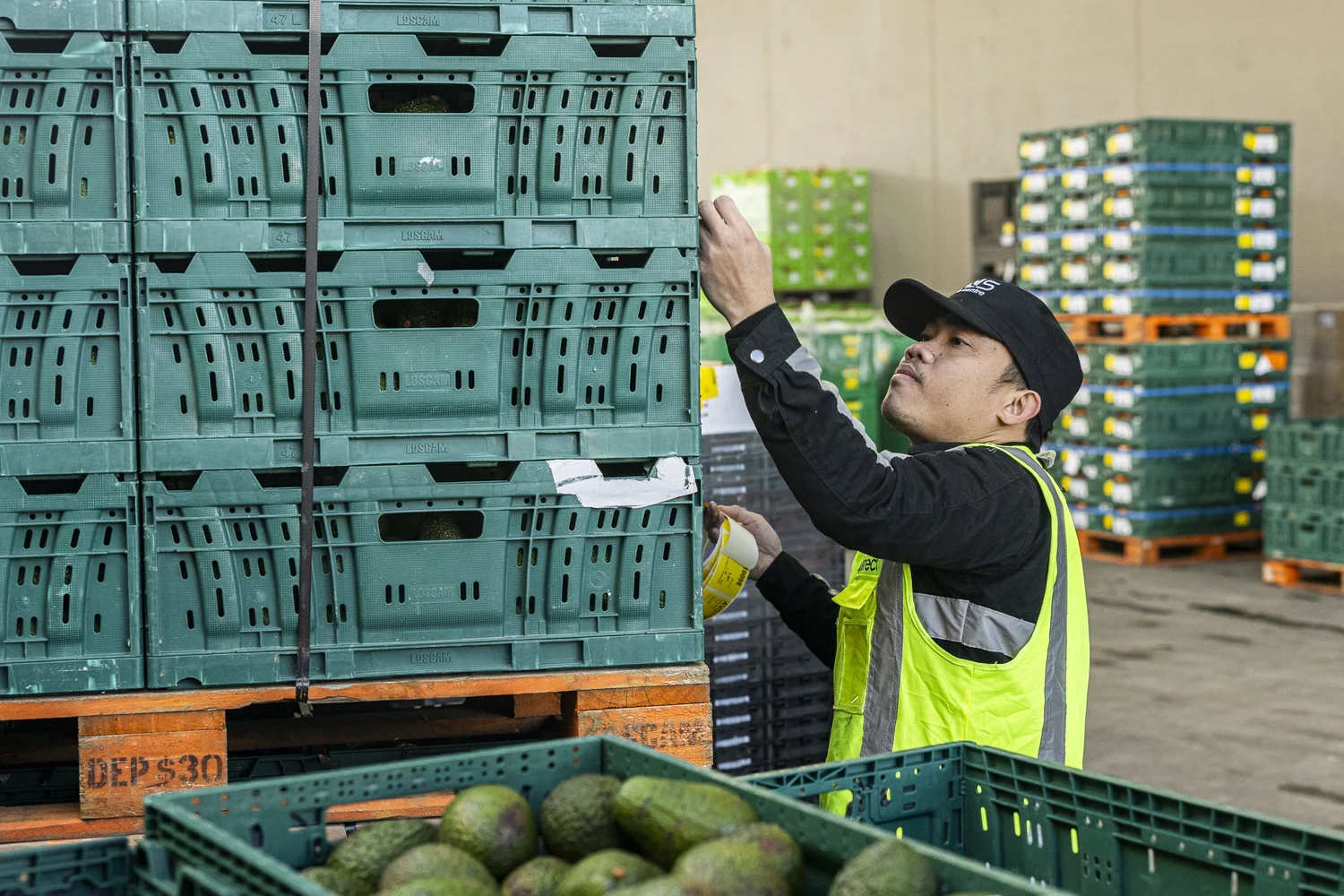 Careers | Join Our Team — Fresh Direct