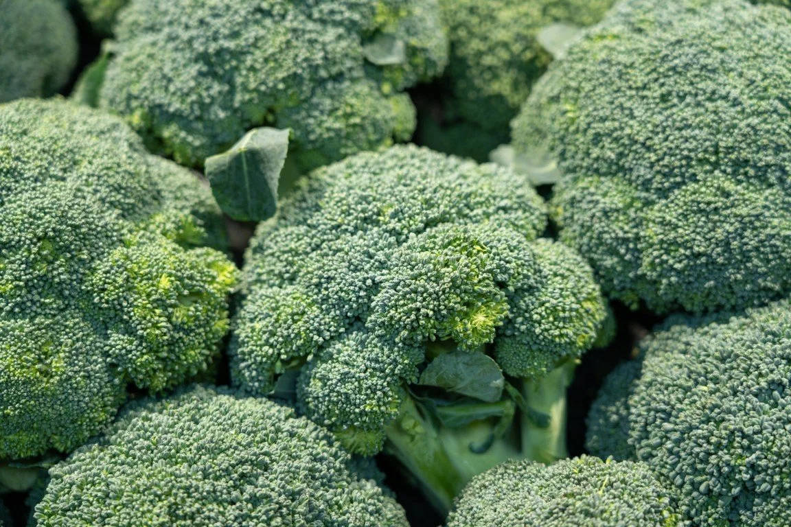 Close-up of fresh broccoli florets.