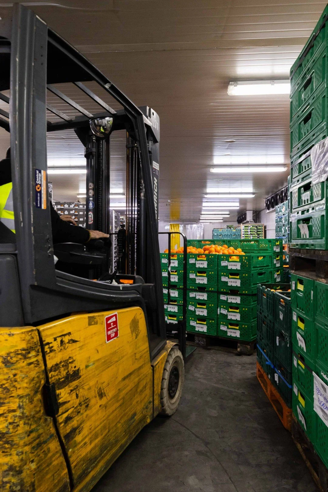 FRESH DIRECT AUCKLAND - SMALL ONLINE-8 (Large).jpg