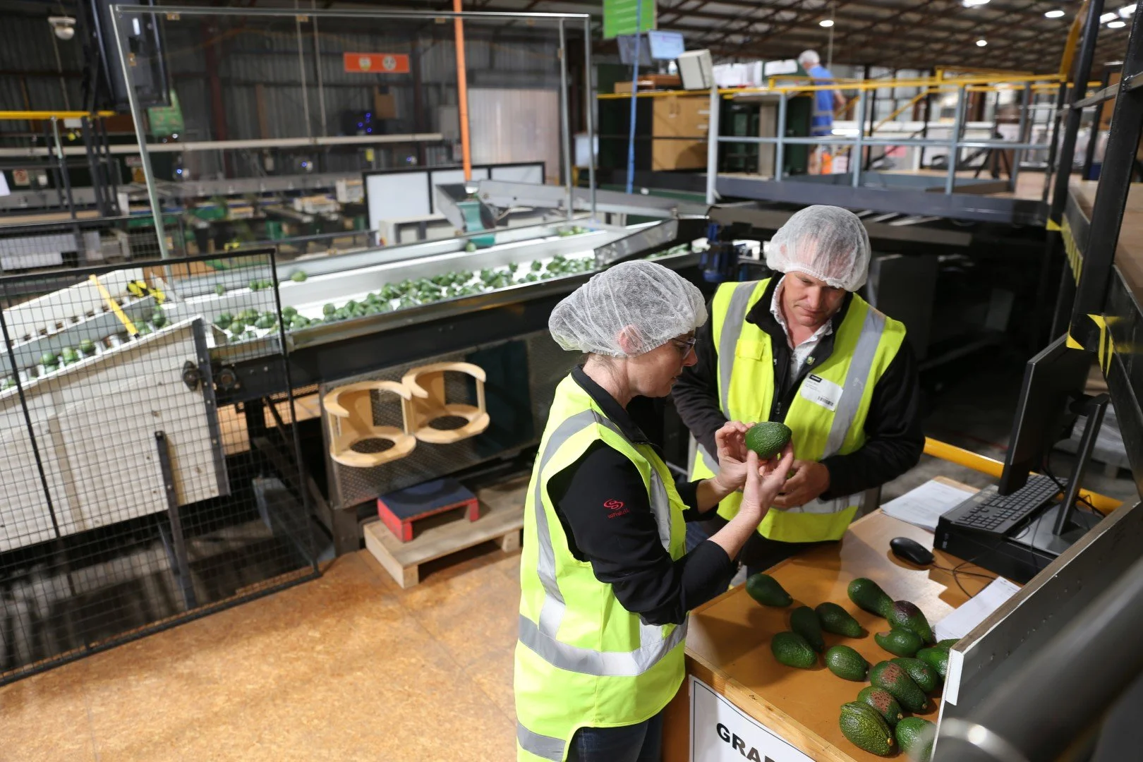 IMG_3351 (Large).JPG