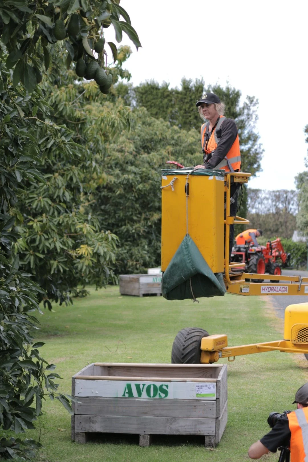 IMG_9168 (1) (Large).JPG