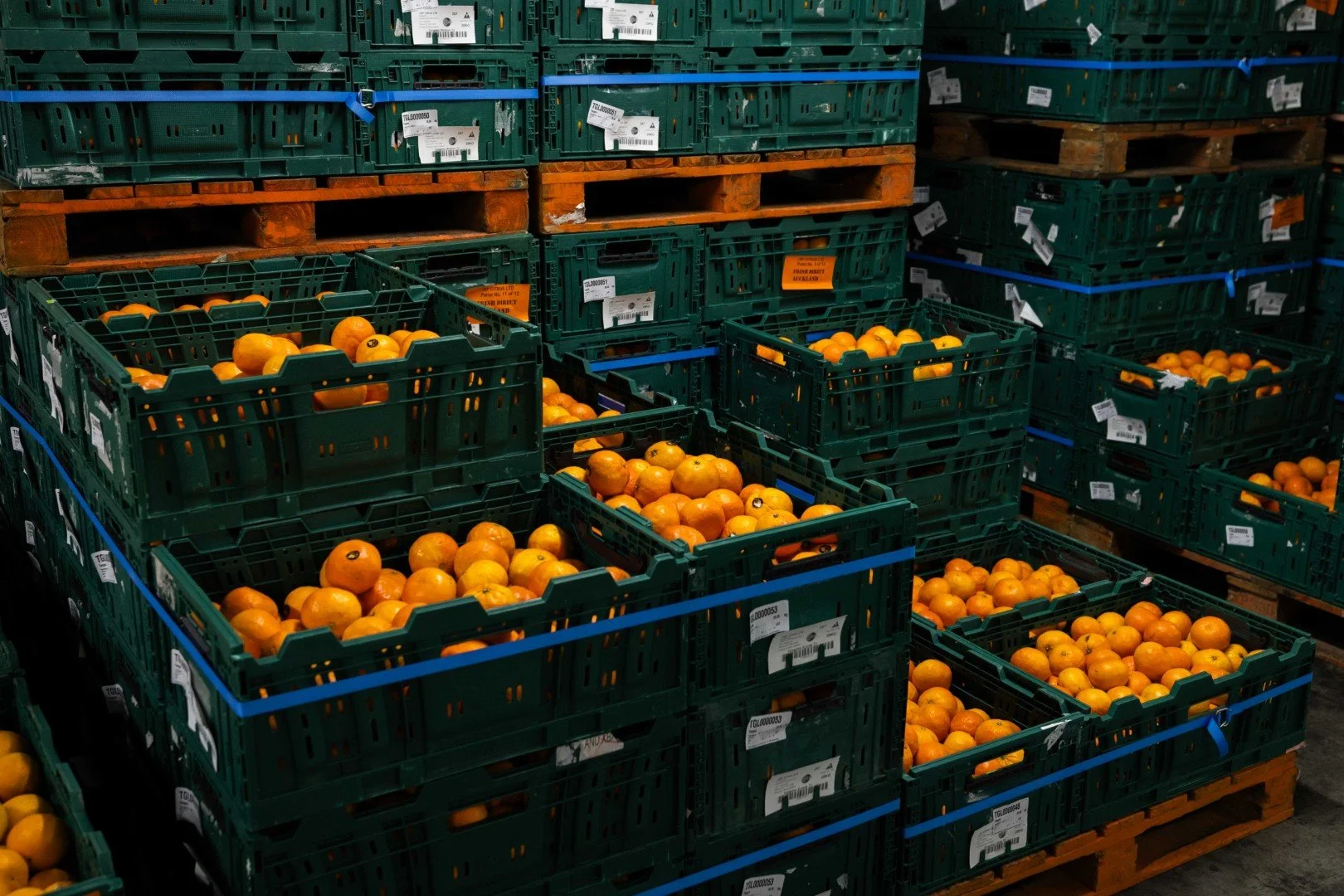 FRESH DIRECT AUCKLAND - SMALL ONLINE-39 (Large).jpg