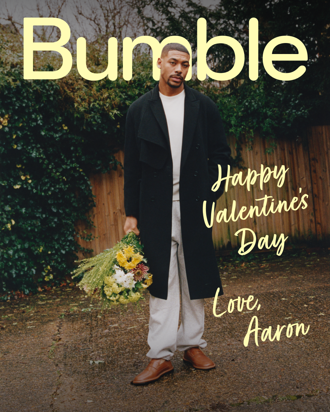 ENG_Bumble-Aaron Pierre.PNG