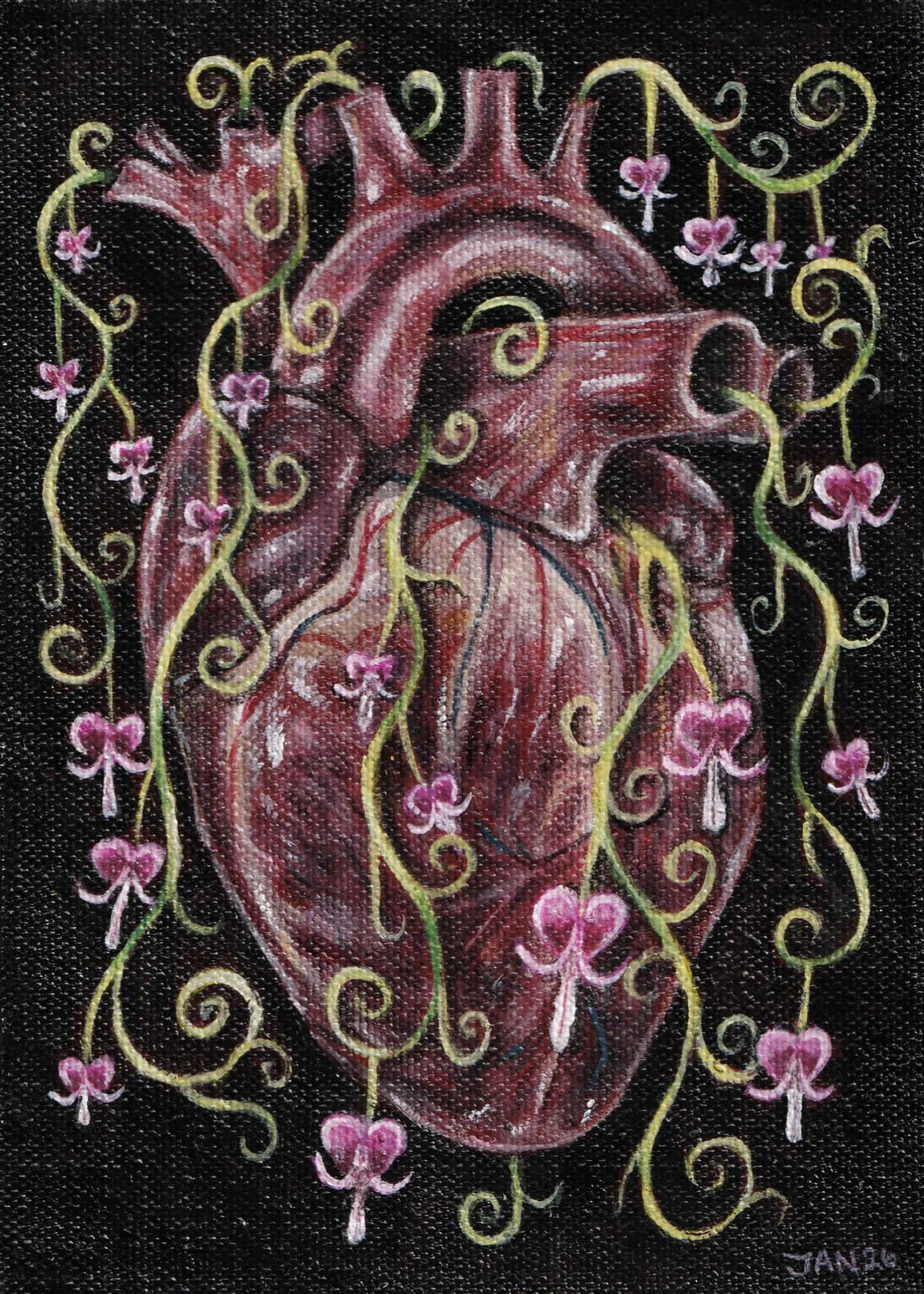 Bleeding Heart.jpg