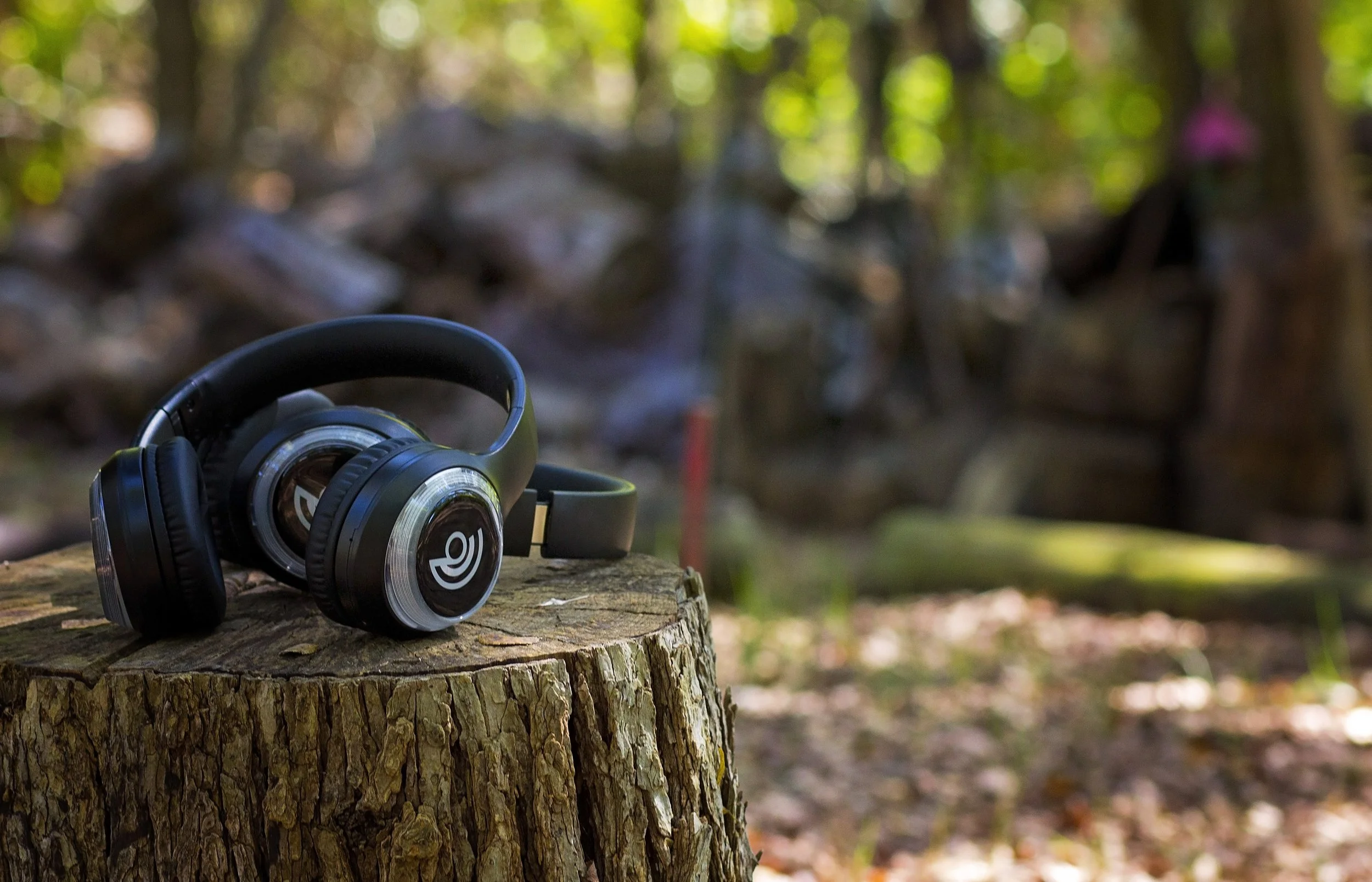 Close-up of a child's face blowing on a dandelion seed head, in sepia tone.