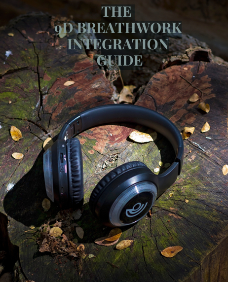 integration book cover.png