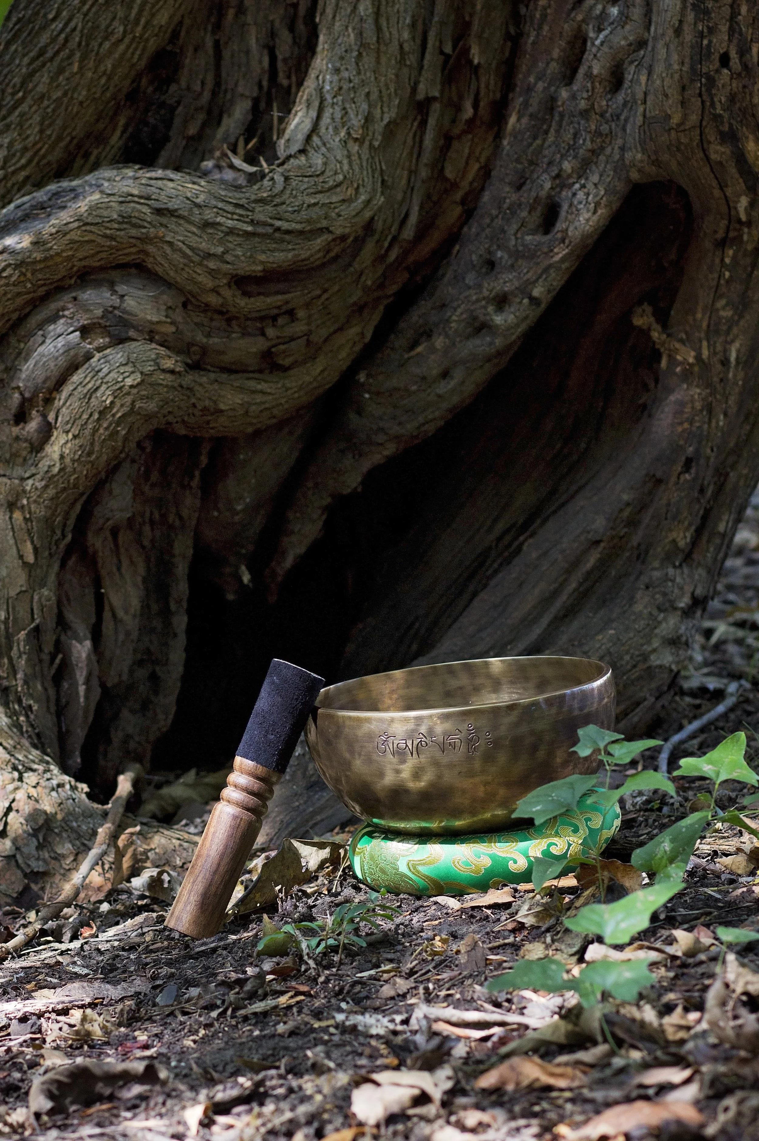 A large brass singing bowl placed on a cloth at the base of a tree by a lakeshore, with water in the background.