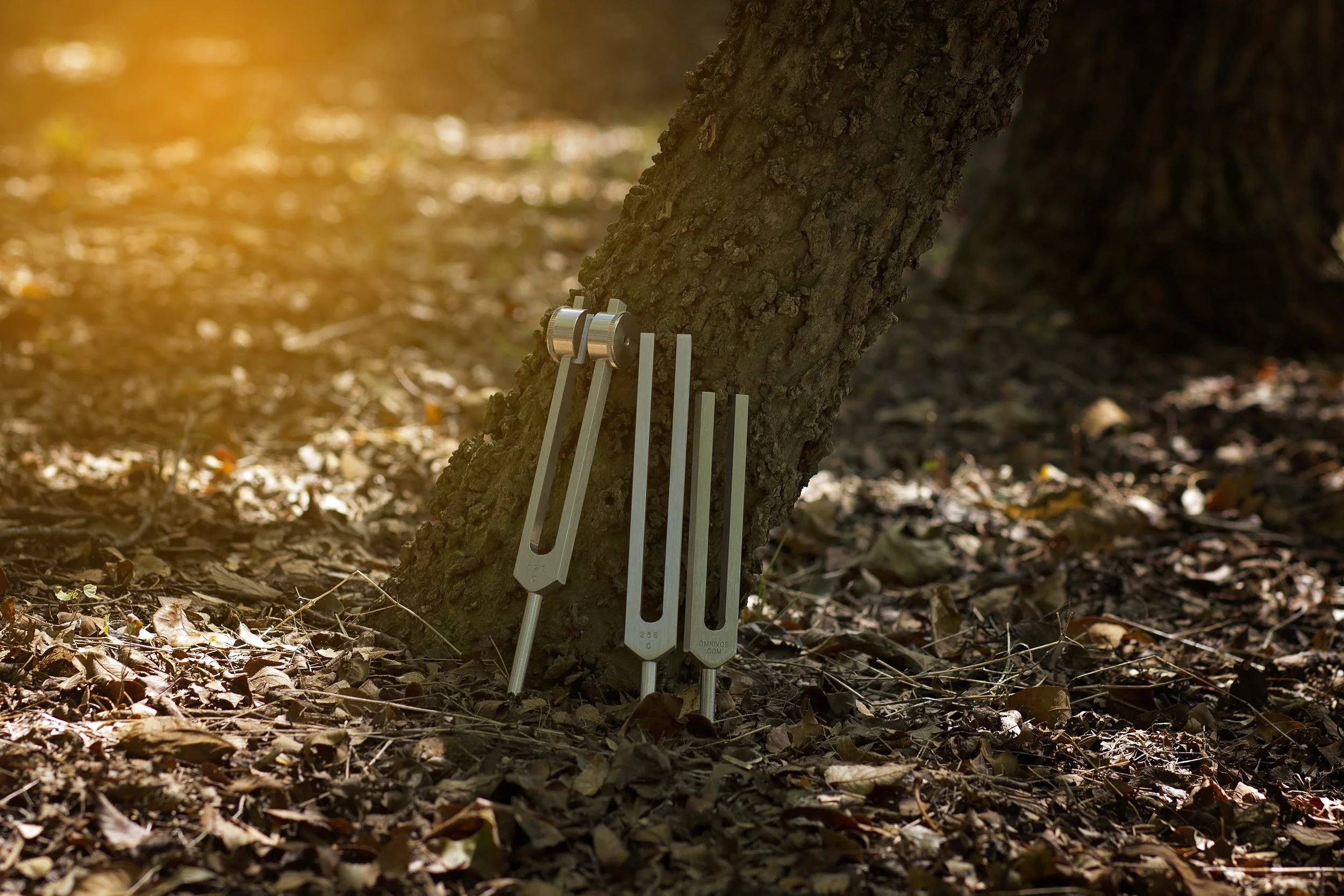 Three blue metal digging tools placed on a rock outdoors with green plants in the background.