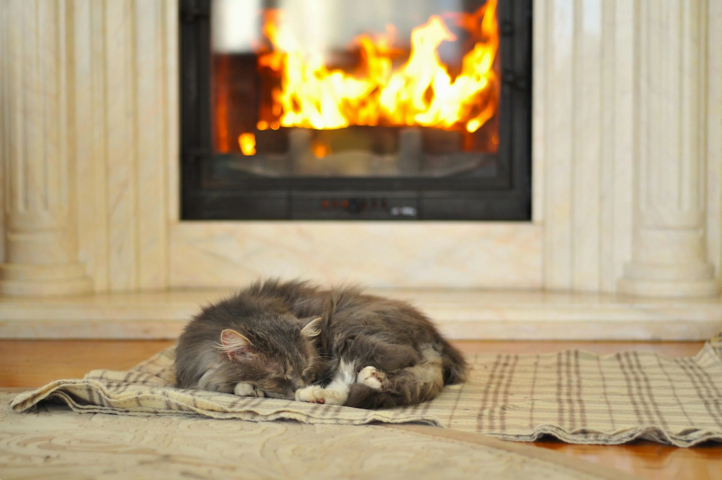 Winter Self-Care When Everything Feels Cold and Heavy