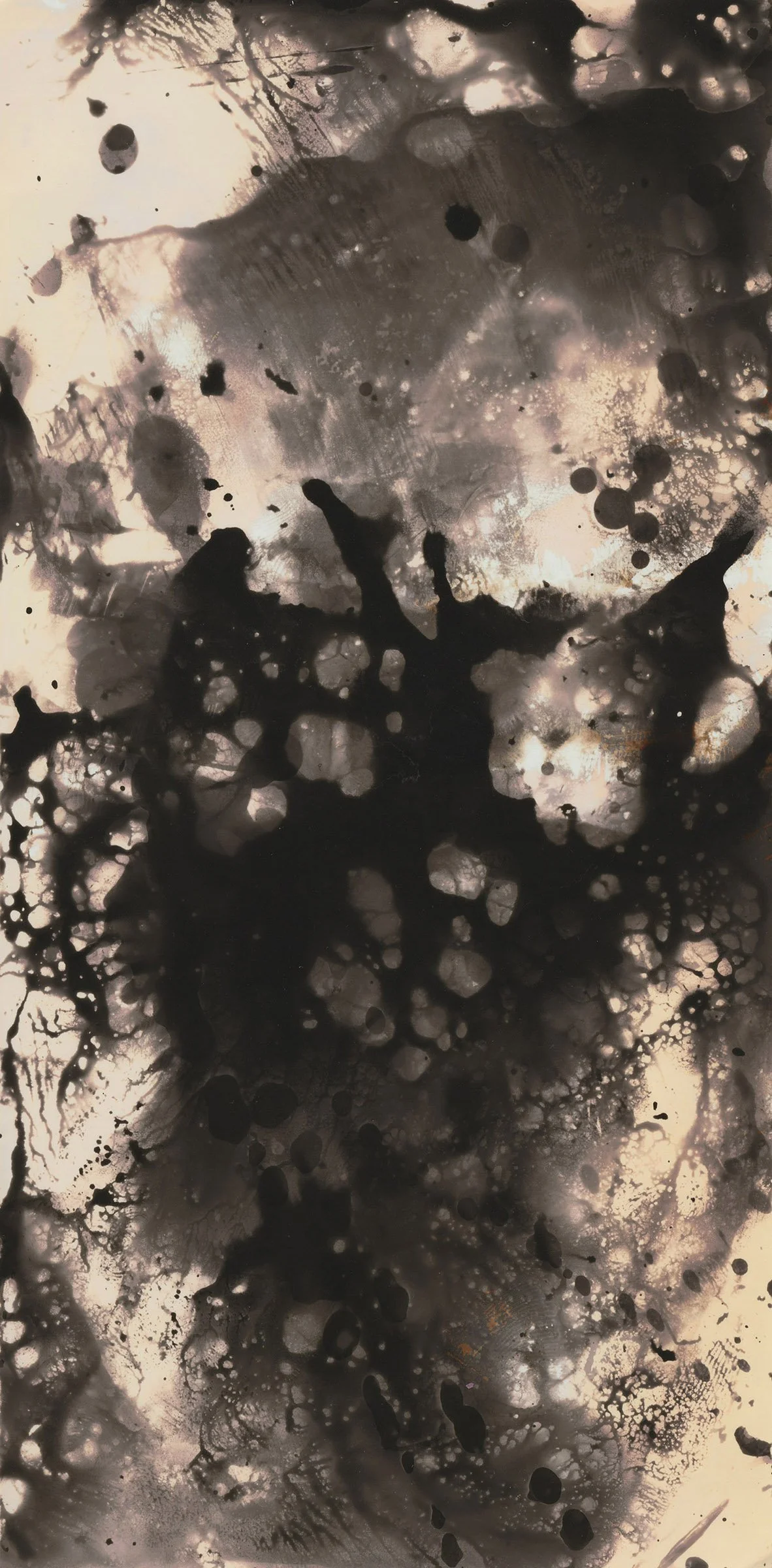 Chemical Photograph
