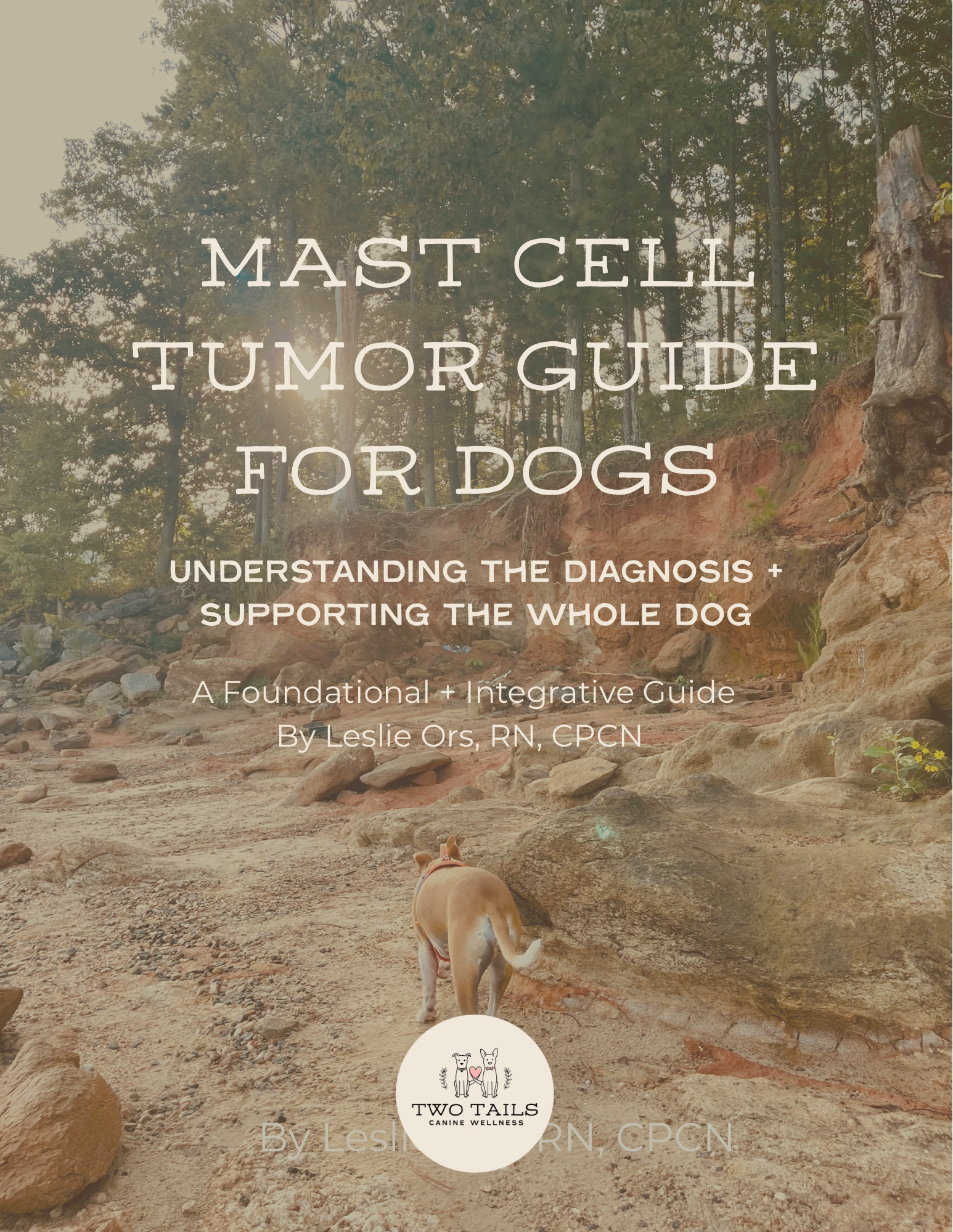 Mast Cell Tumor Guide