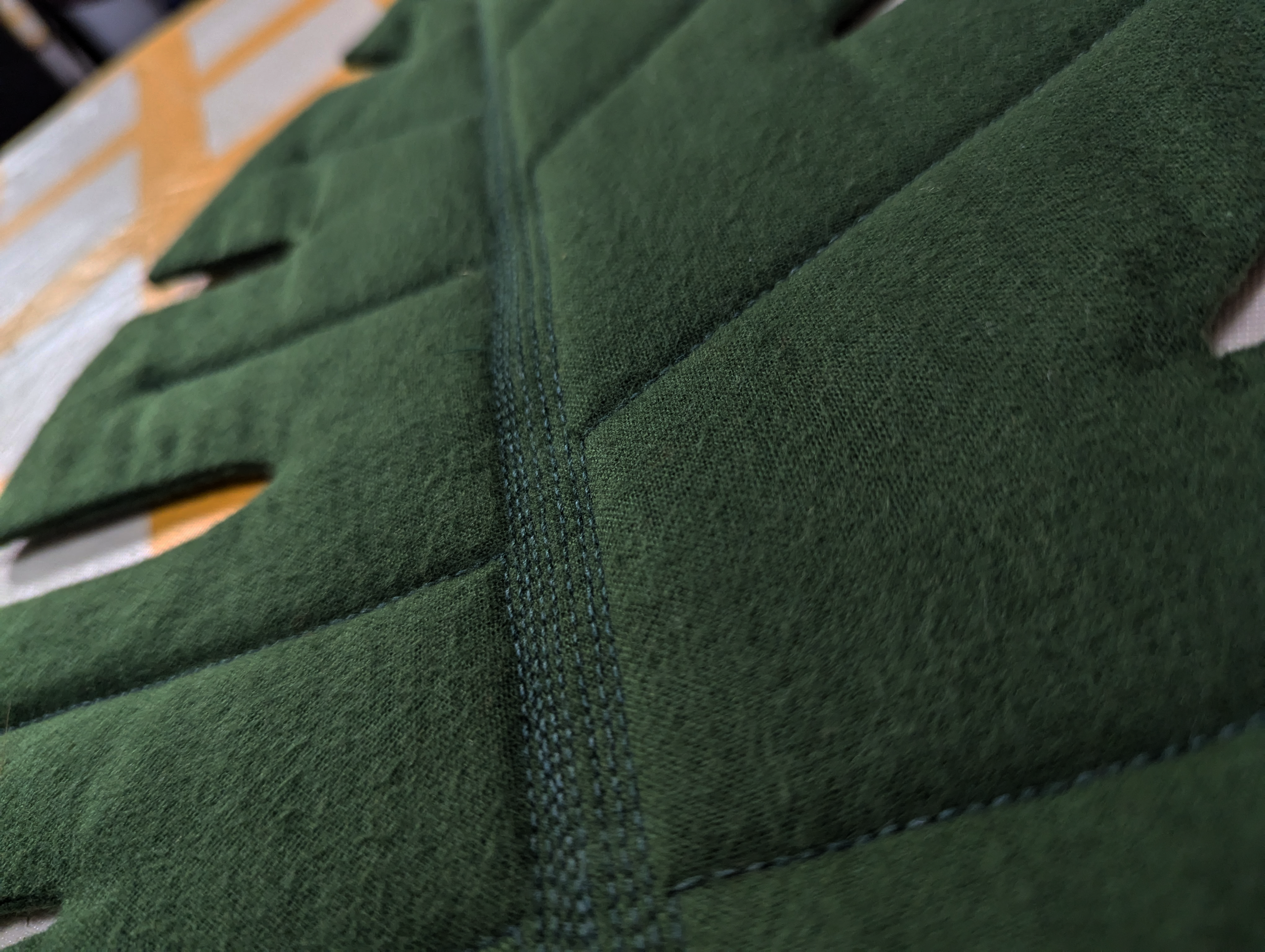 Leaf Close Up Angle.png