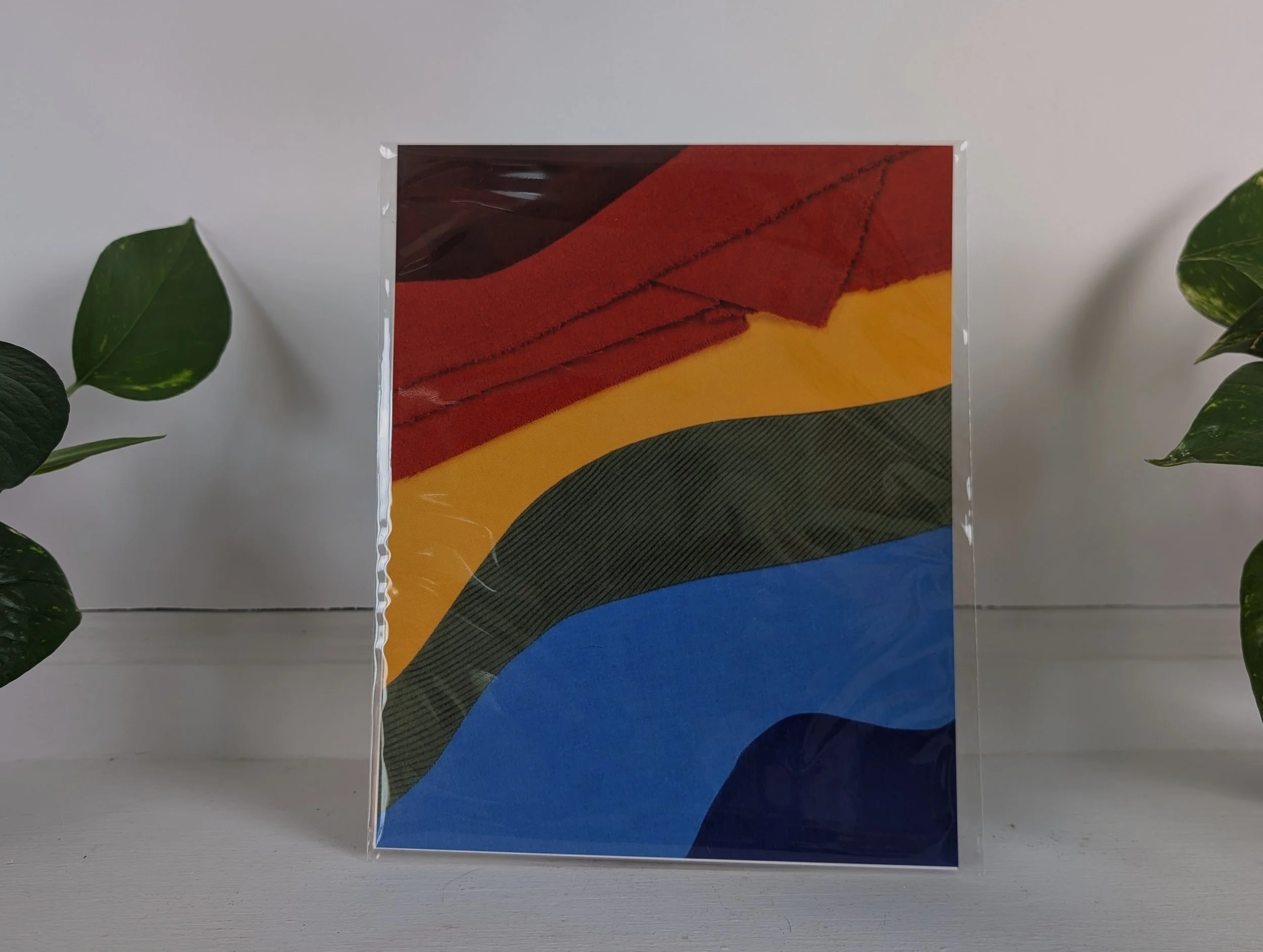 Pride No. 2 Packaged Small.jpg