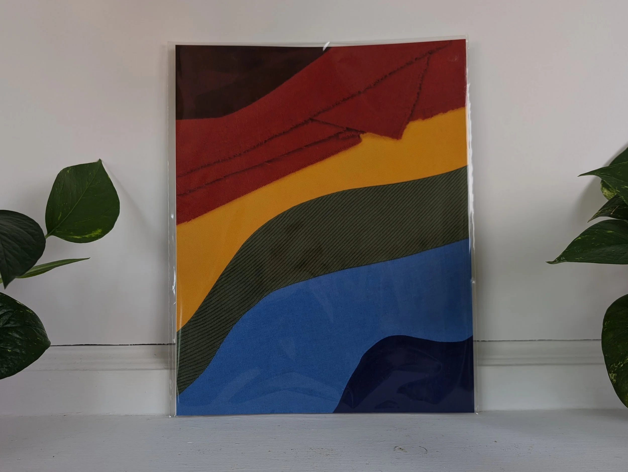 Pride No. 2 Packaged Large.jpg