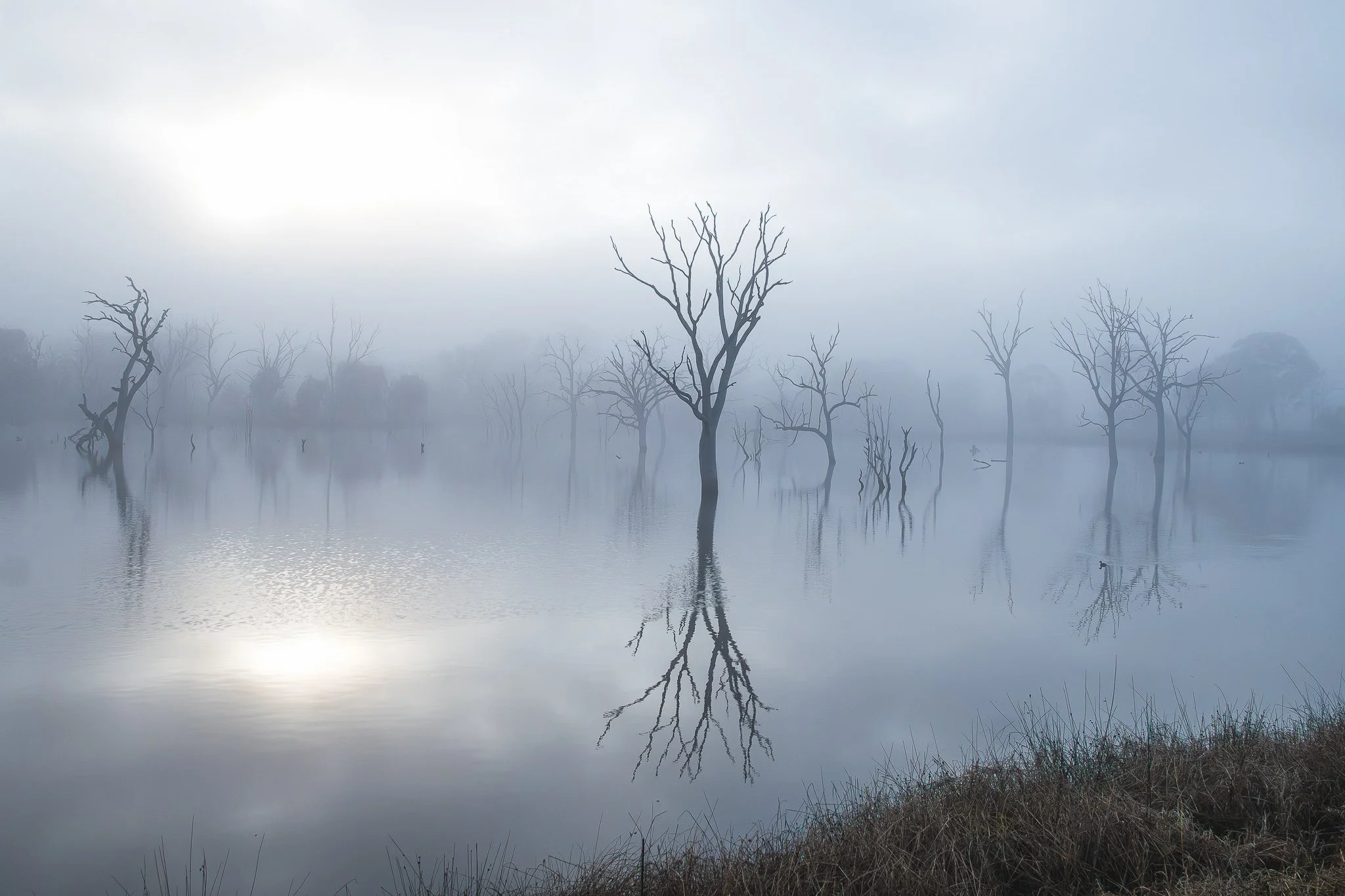 Mulligans Flat, Canberra