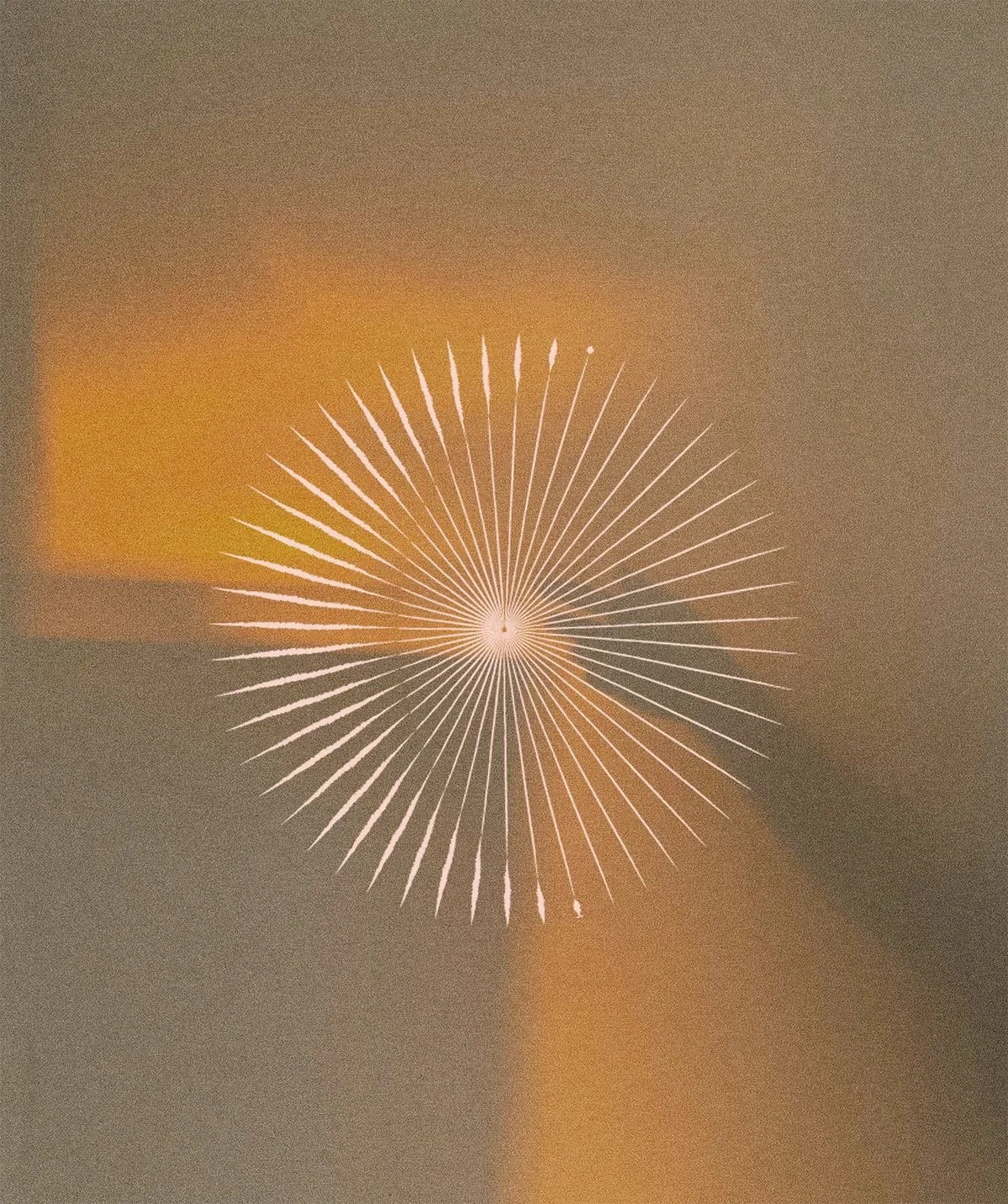 Ancestral Healing || 45-Minute Virtual Session