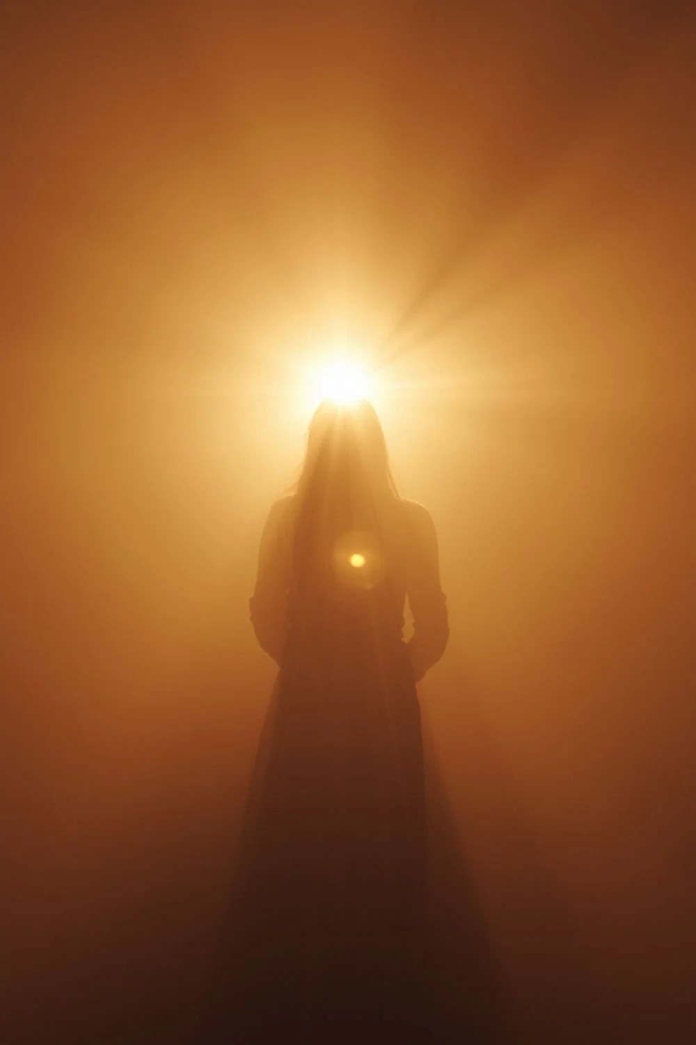 Integrative Inner Work || 1-Hour Virtual Session