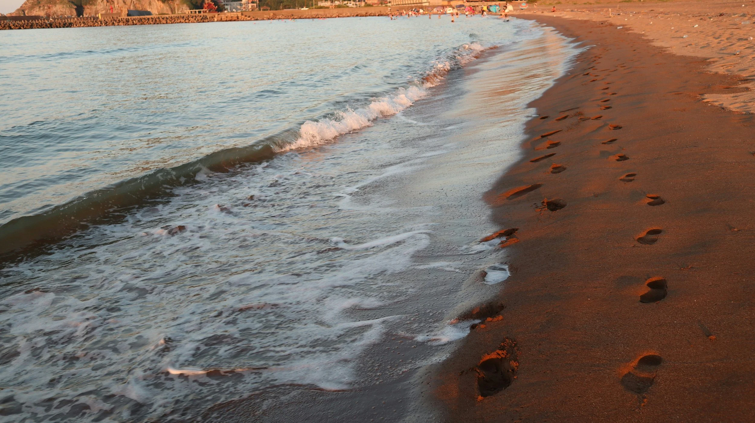 12 Week Recovery Group