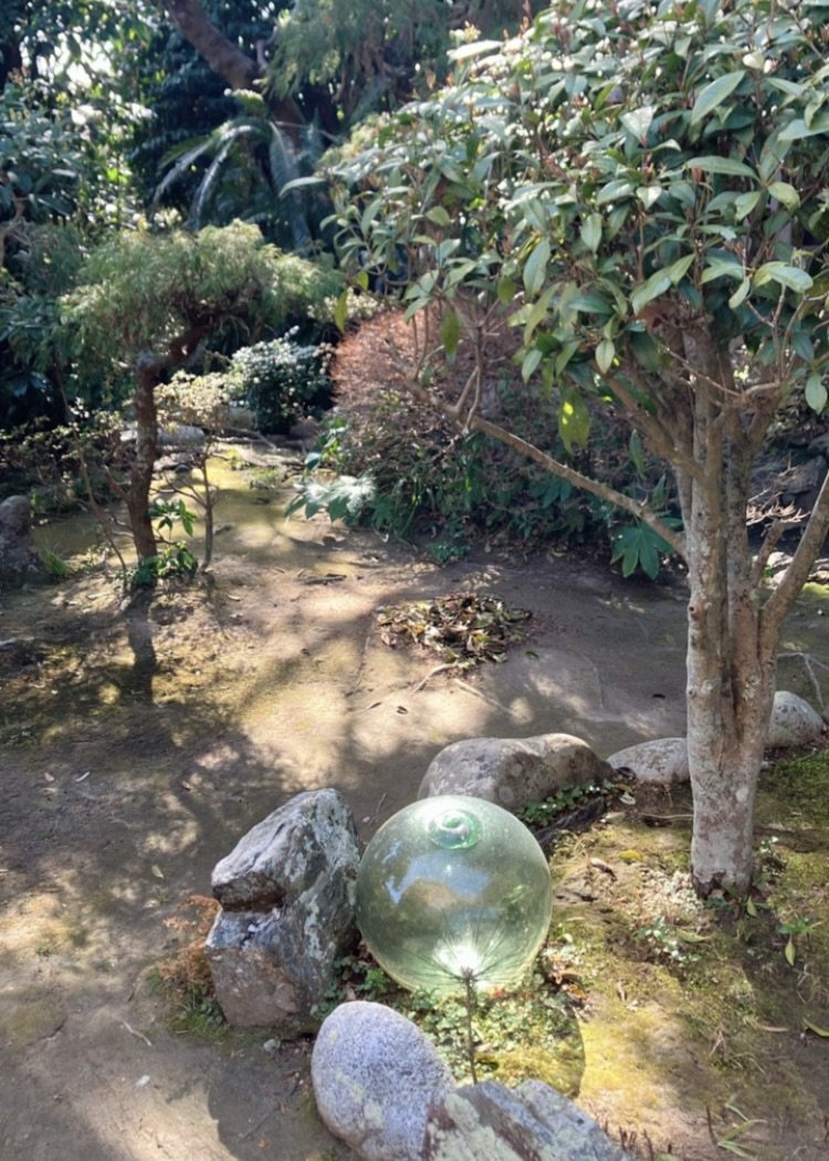 A Moment of Reconnection