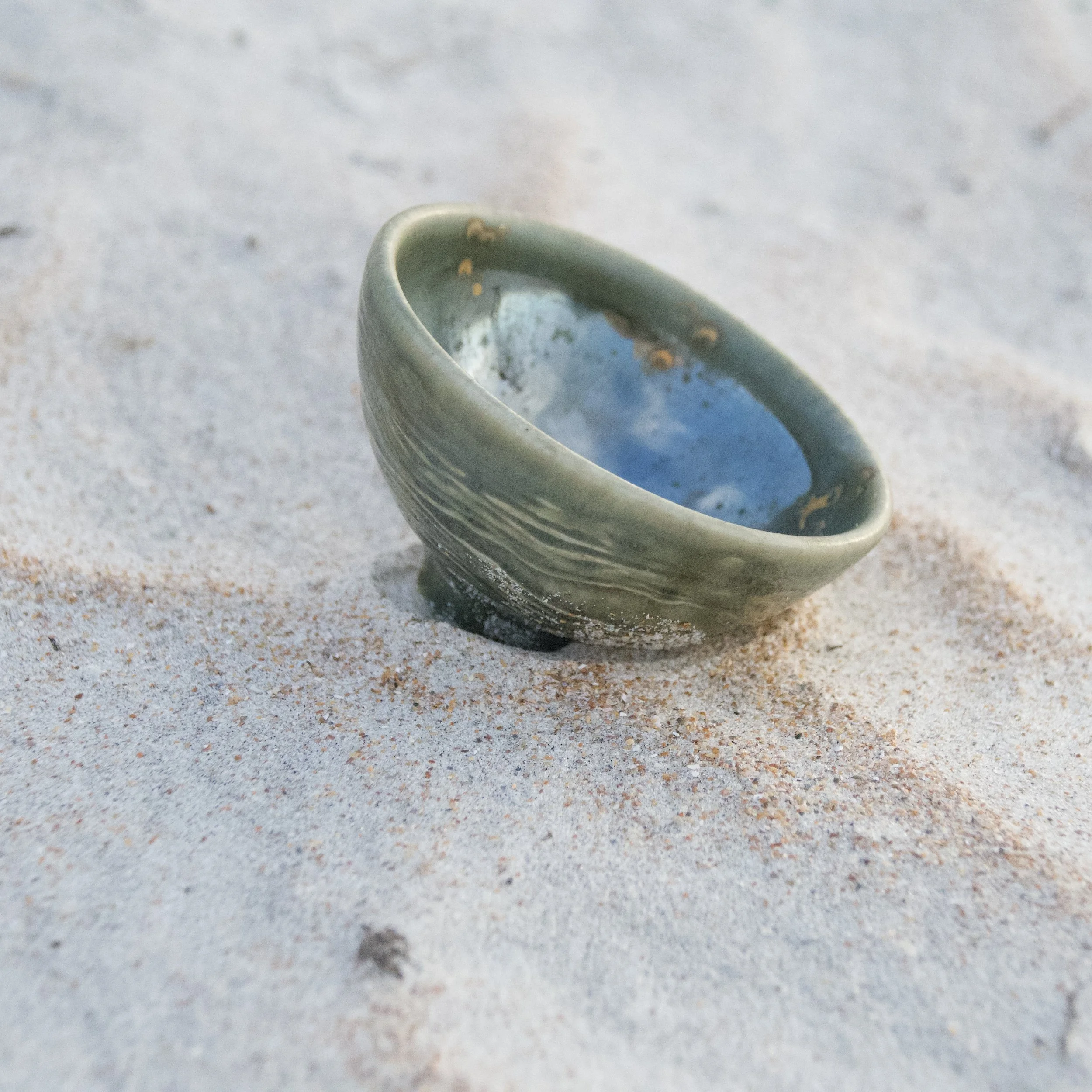 Memories of the Ancient Ocean — 