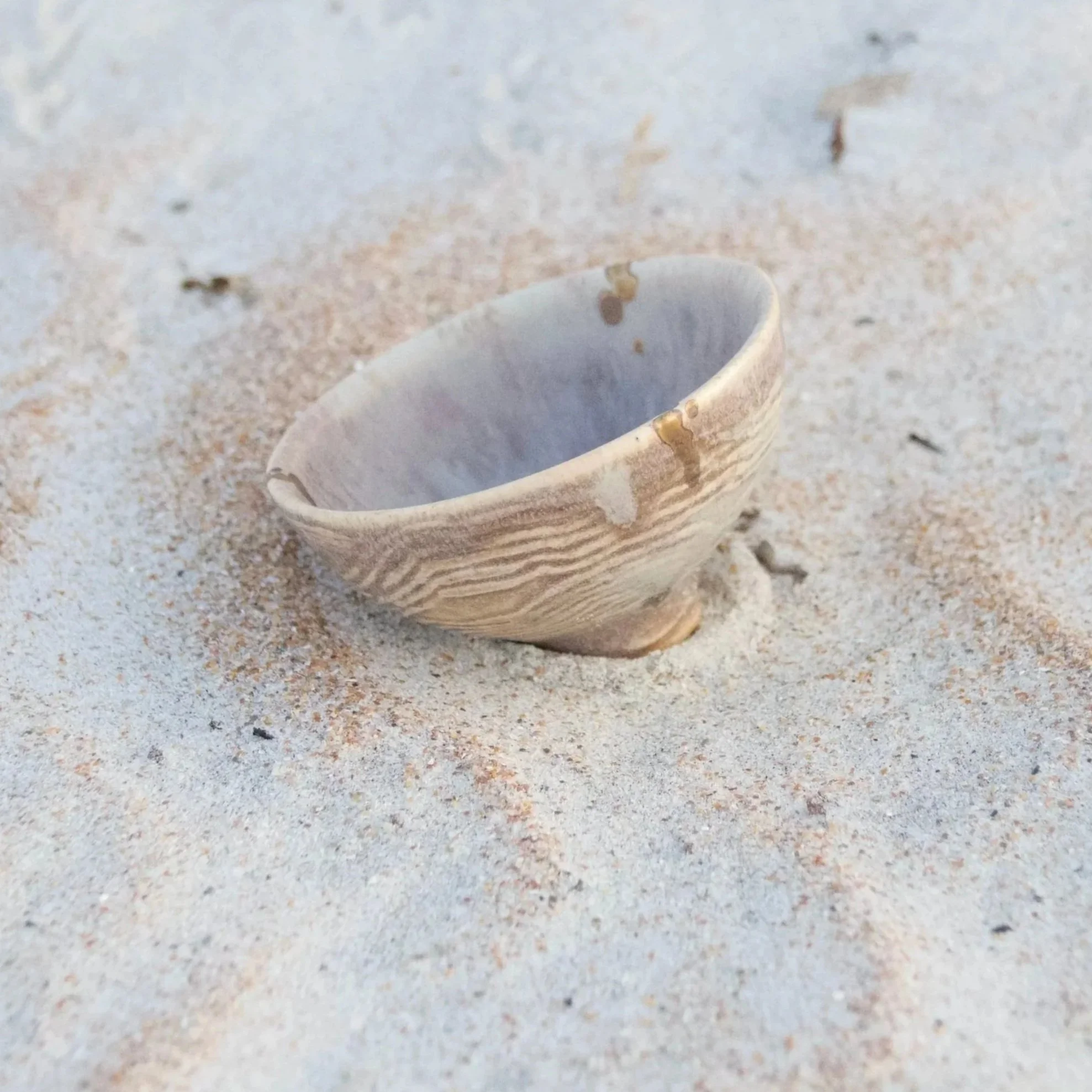 Memories of the Ancient Ocean — 