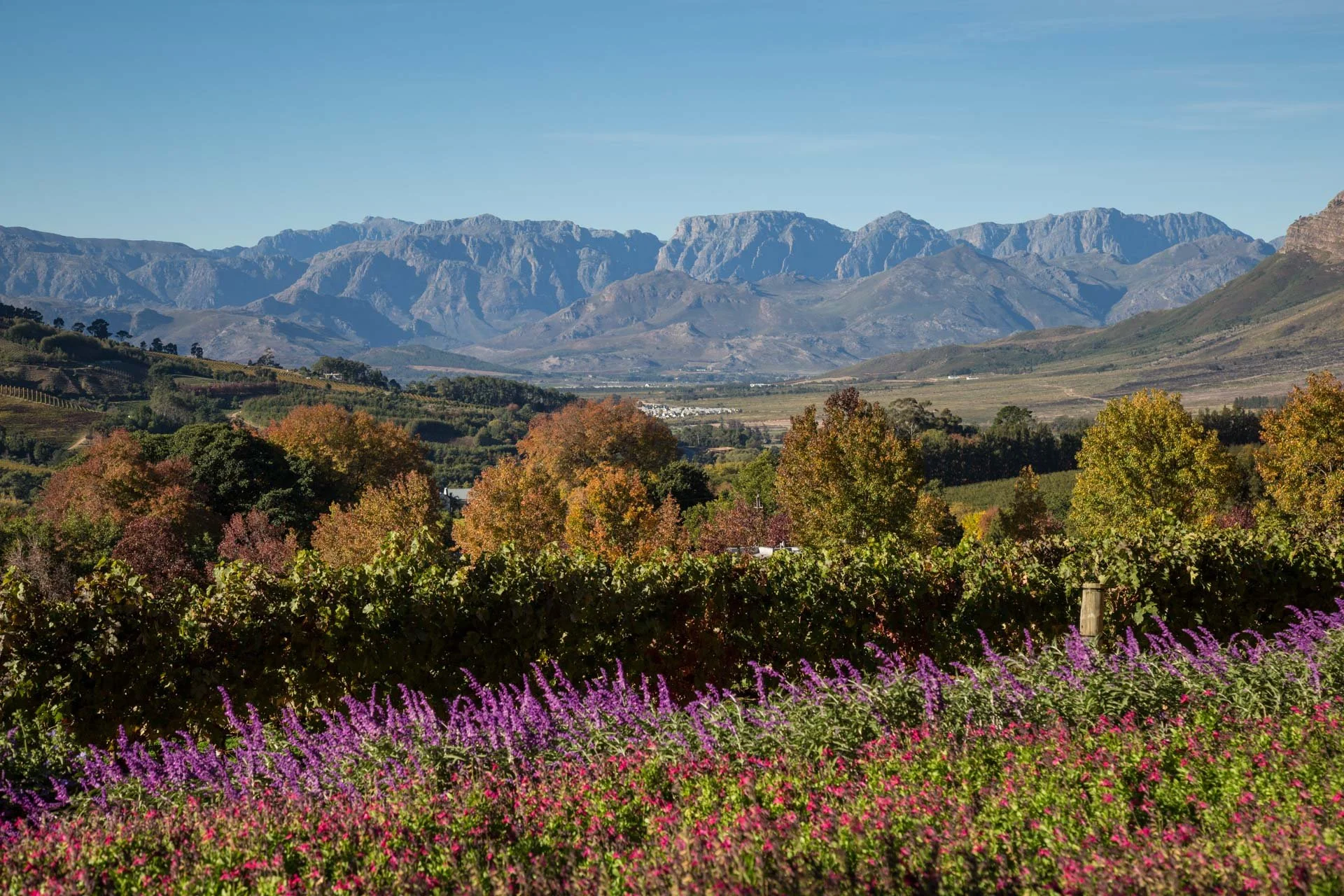 Delaire Graff 2 - copyright Scott Ramsay - www.LoveWildAfrica.com-2.JPG