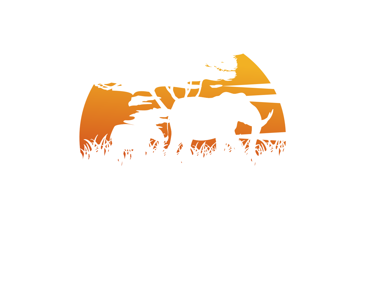 Tusk &amp; Tailor Travel