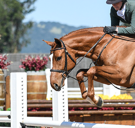 Screen Shot 2025-08-20 at 2.51.41 PM.png