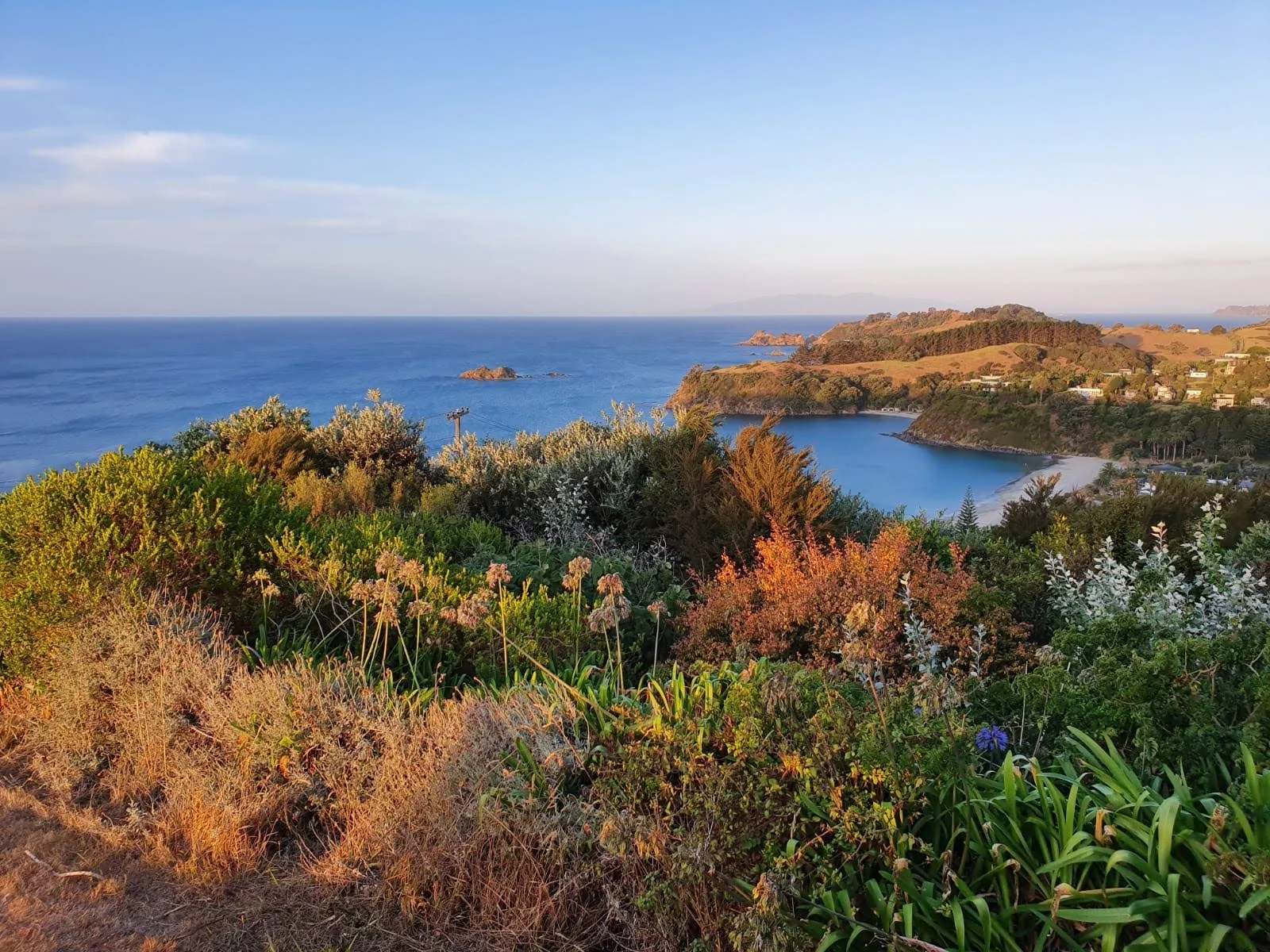 Palm Beach Waiheke Island