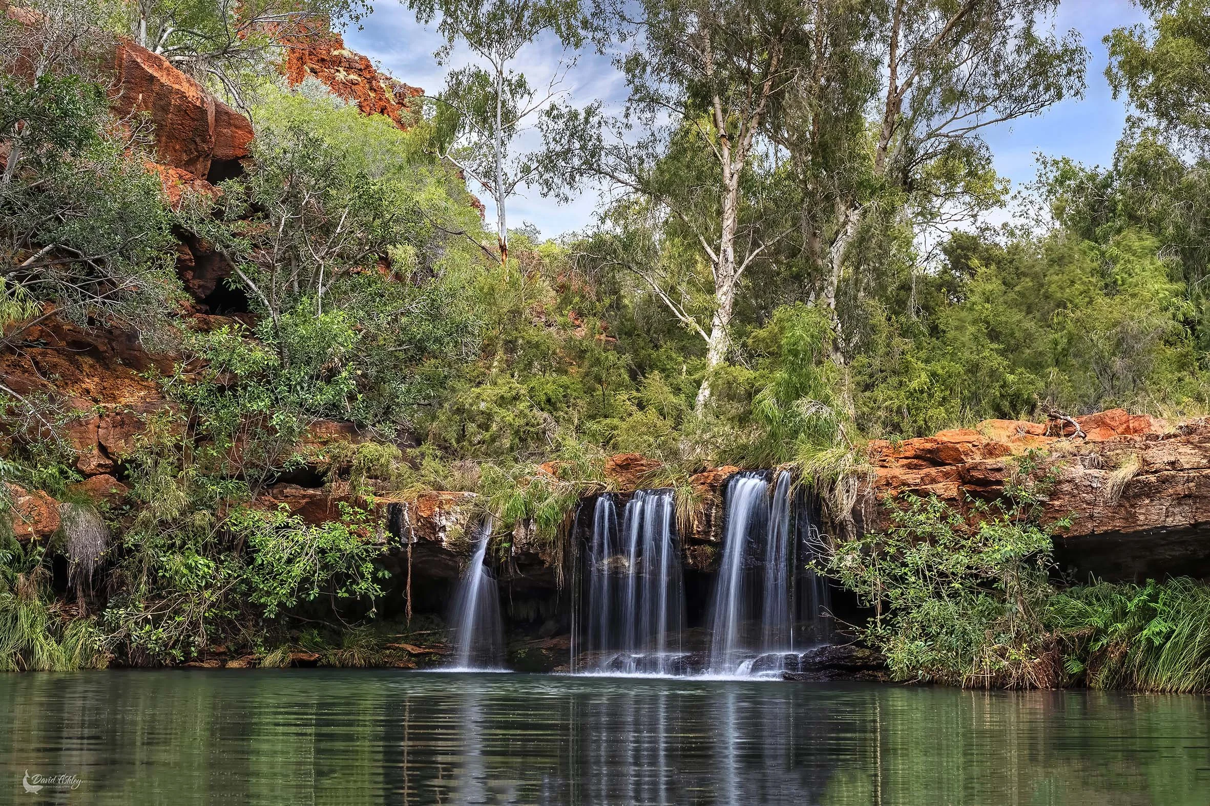 Fern Pool, Karijini WA. (KJ03)