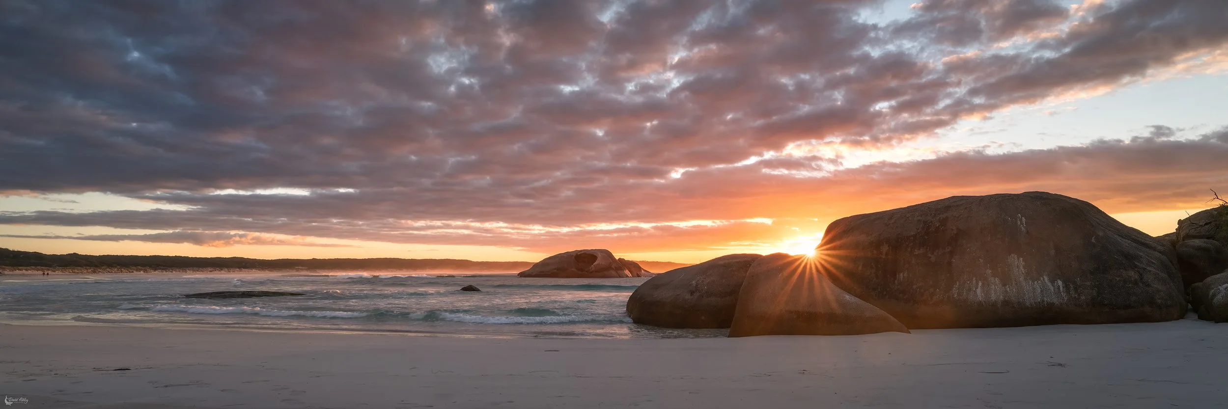 Another eruption of colour at Twilight Beach, Esperance WA. (TB14)