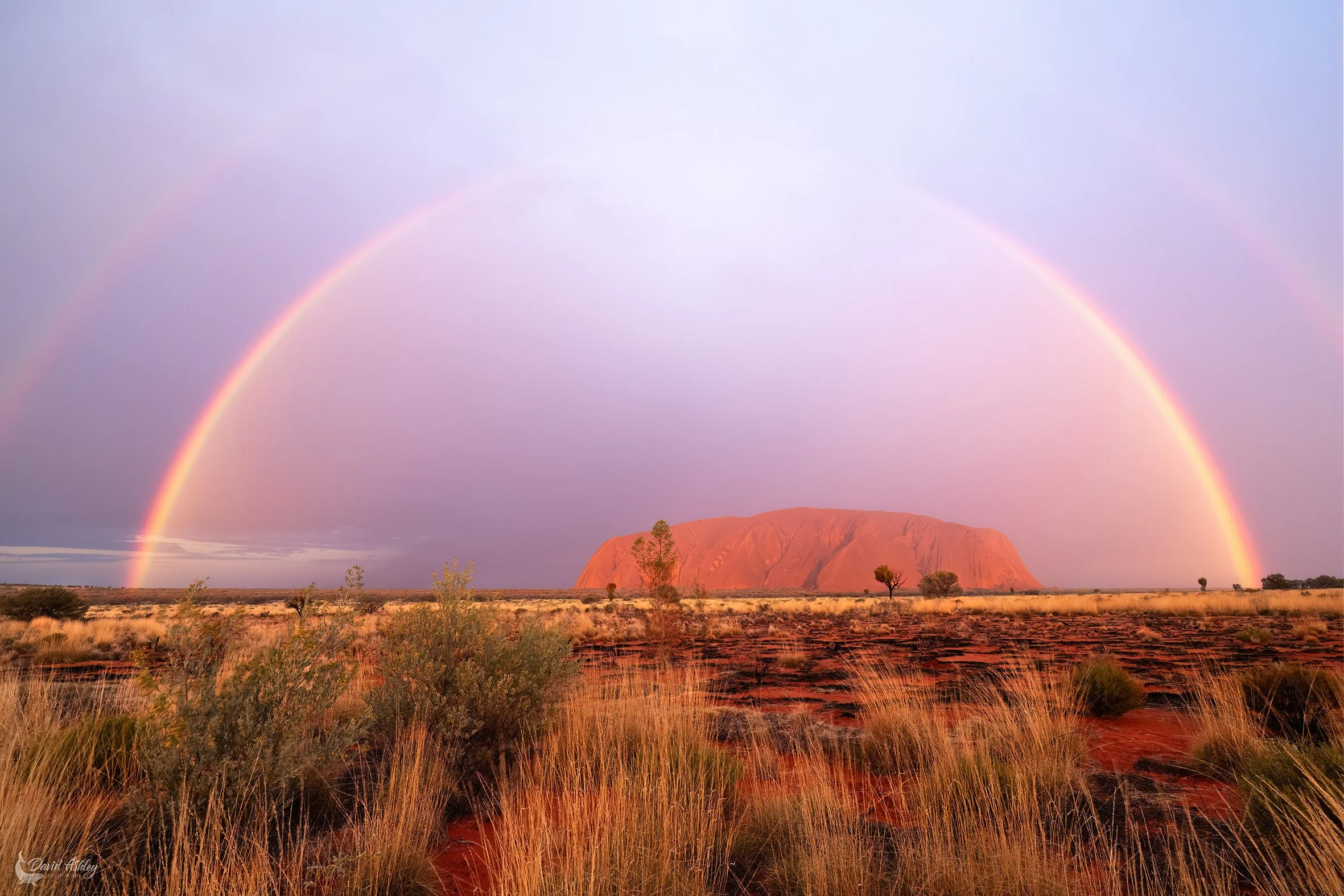Sunset at Uluru. (UL01)