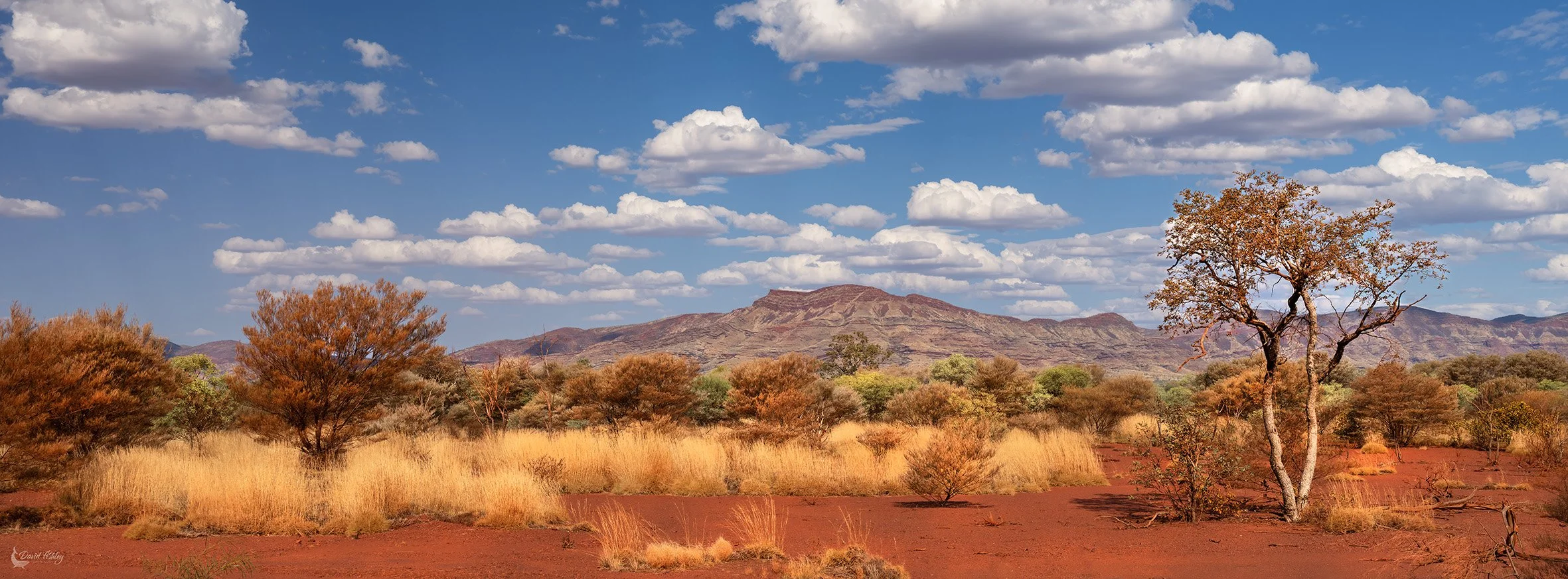 Stunning landscape views just on the outskirts of Karijini National Park. (KJ05)
