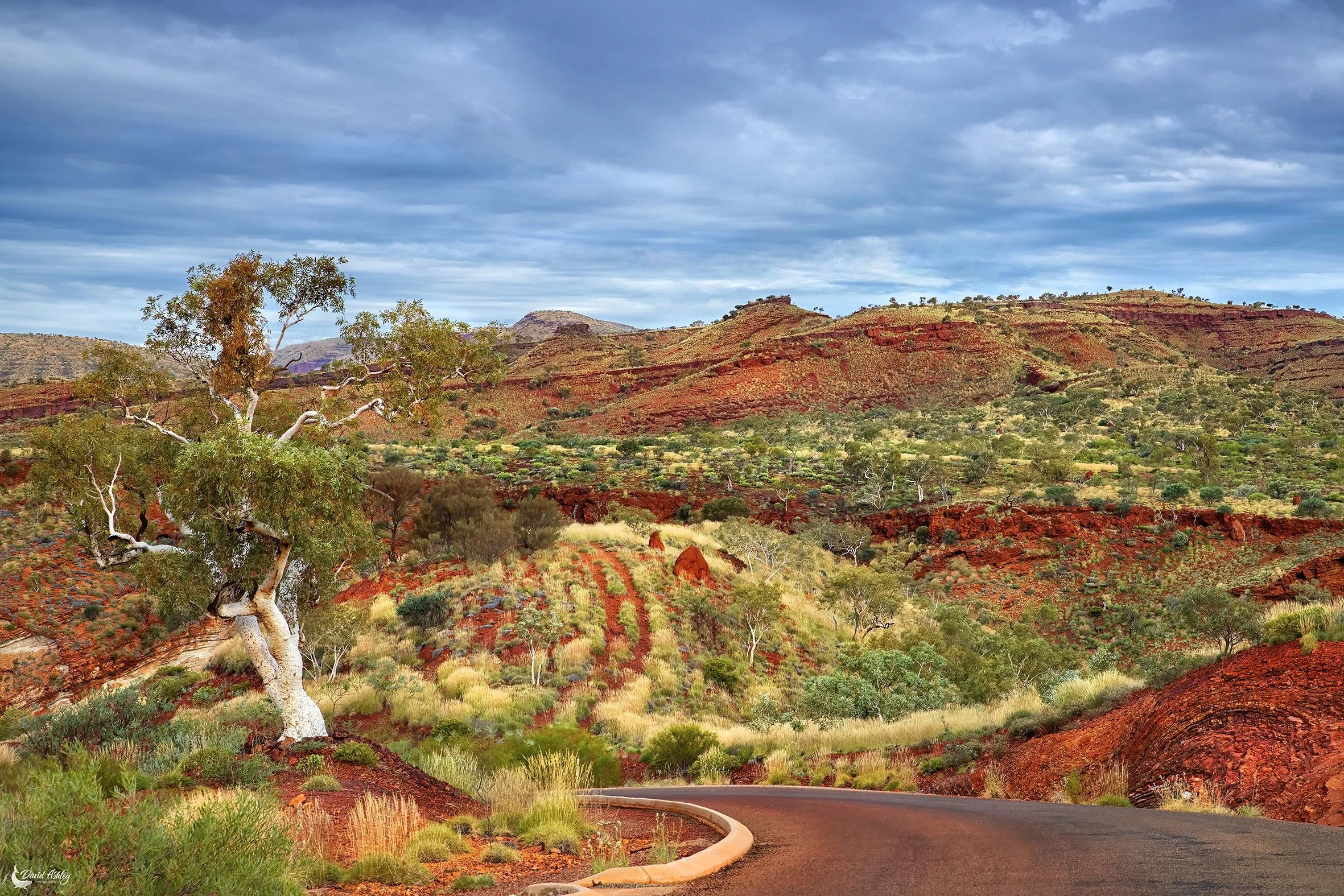 Hamersley Ranges, Pilbara Region, WA. (HR01)