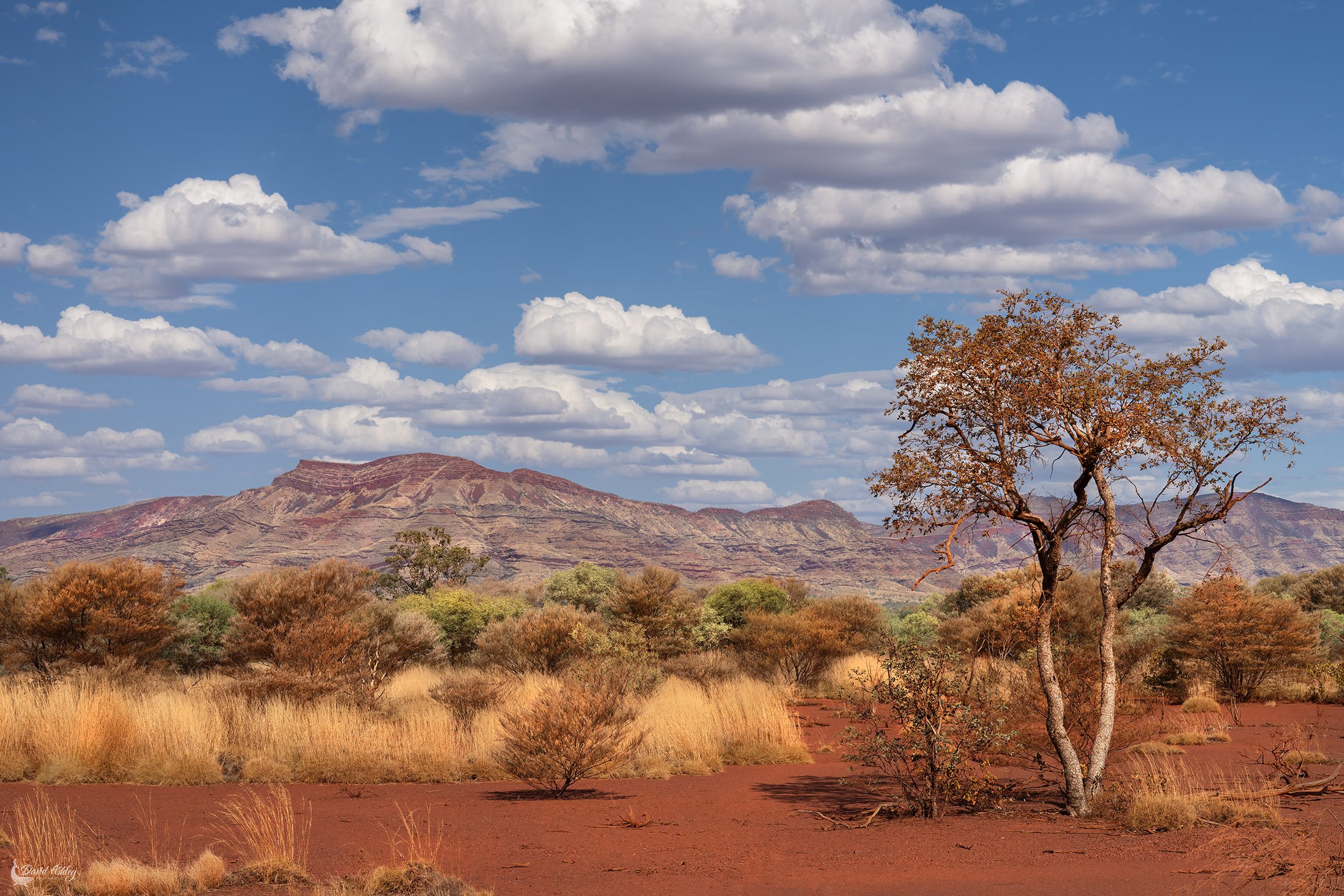 Karijini National Park. (KJ02)