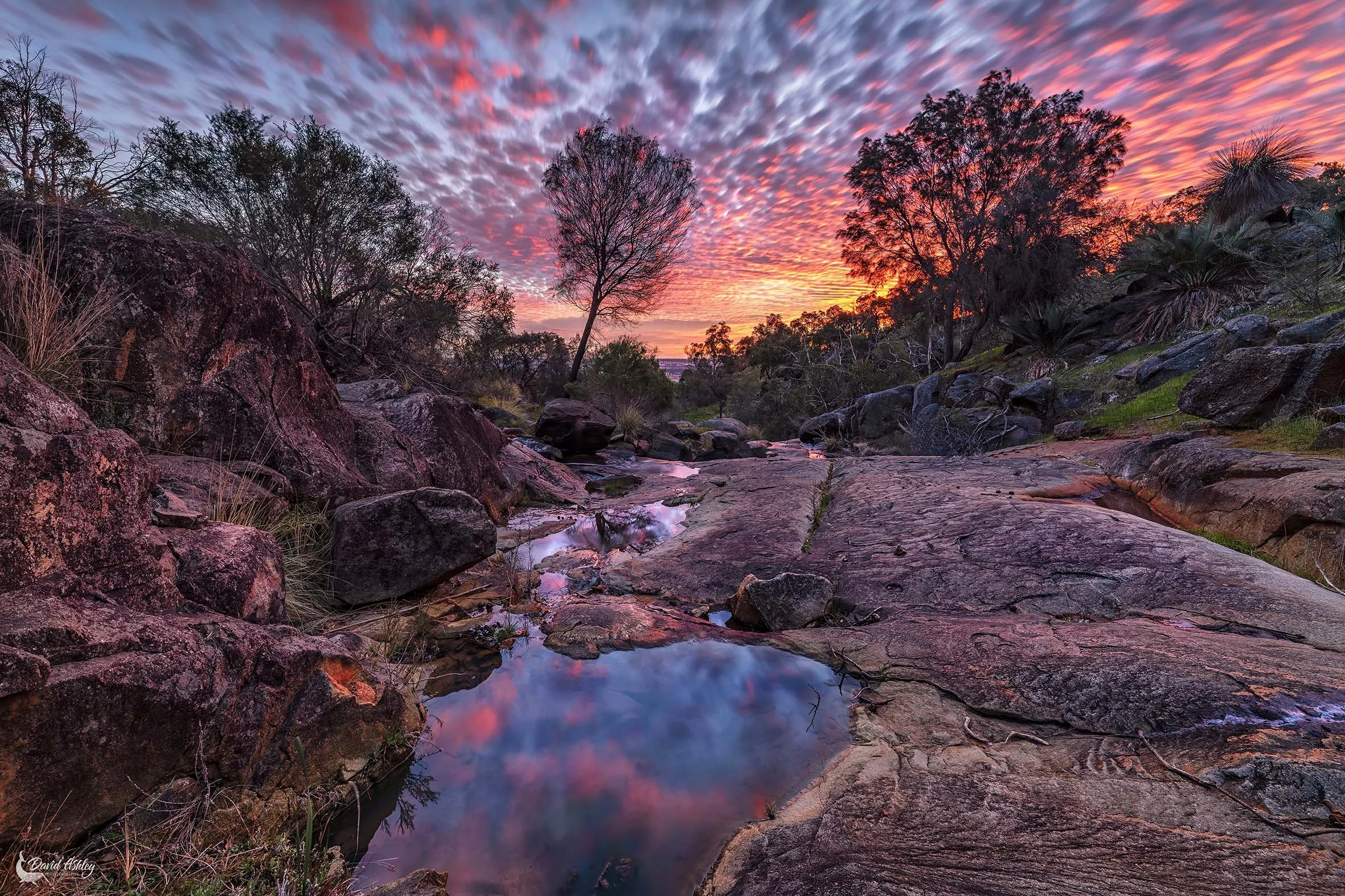 Brigadoon, Perth hills. (PH04)