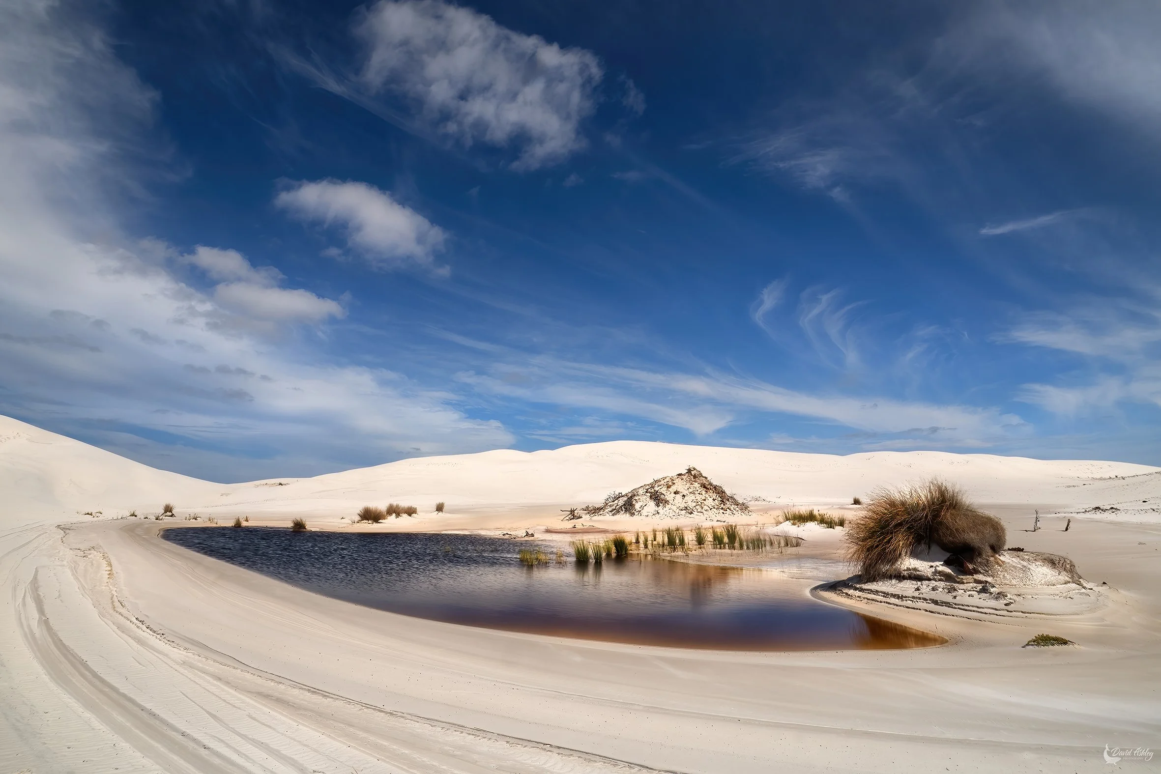 'Oasis".  In the dunes at Dunn Rocks (DR01)