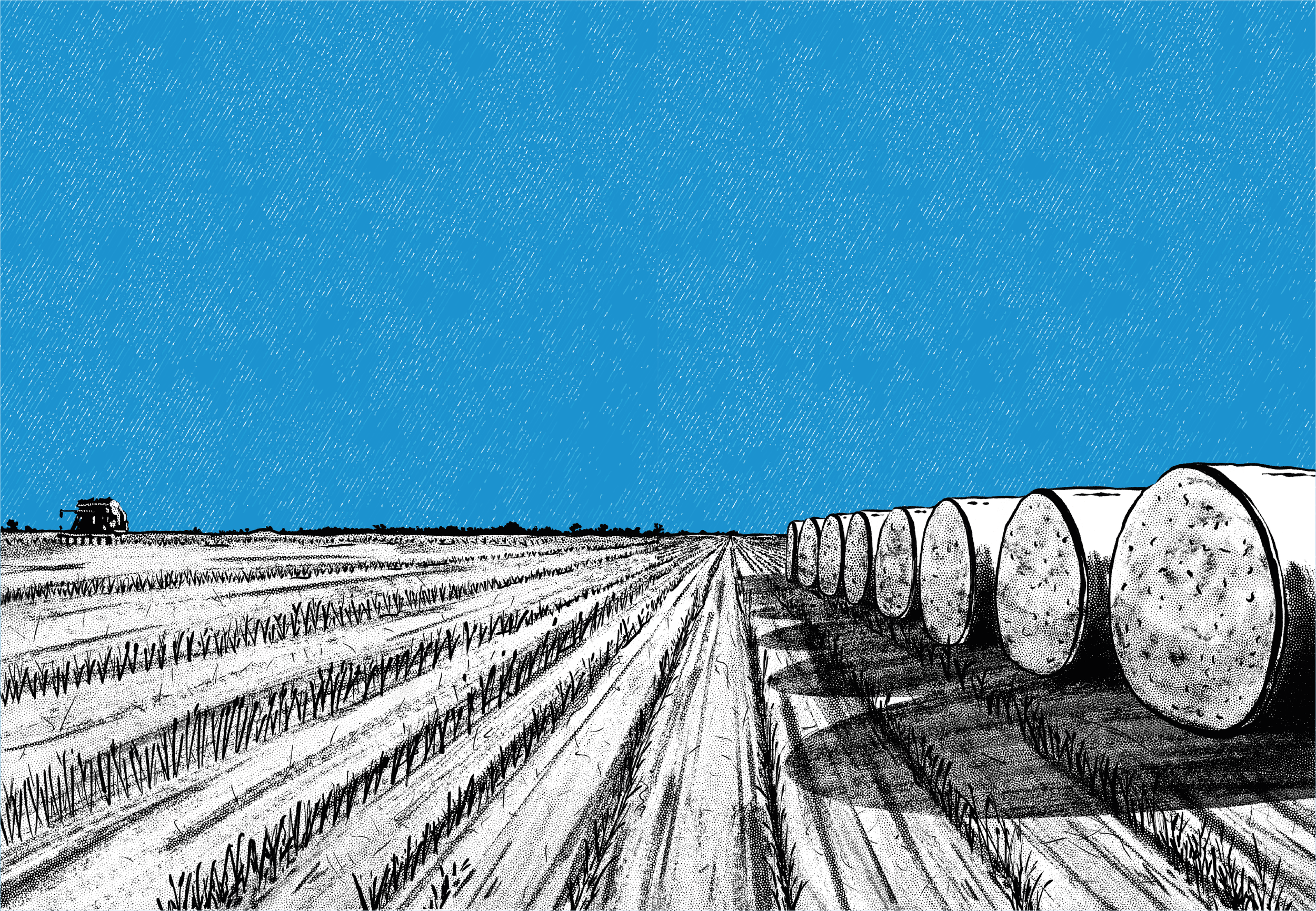denim_color_v3_Fardos.png