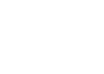 Panini logo