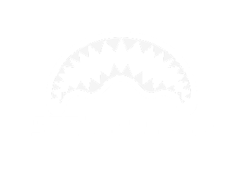 Sprayground logo