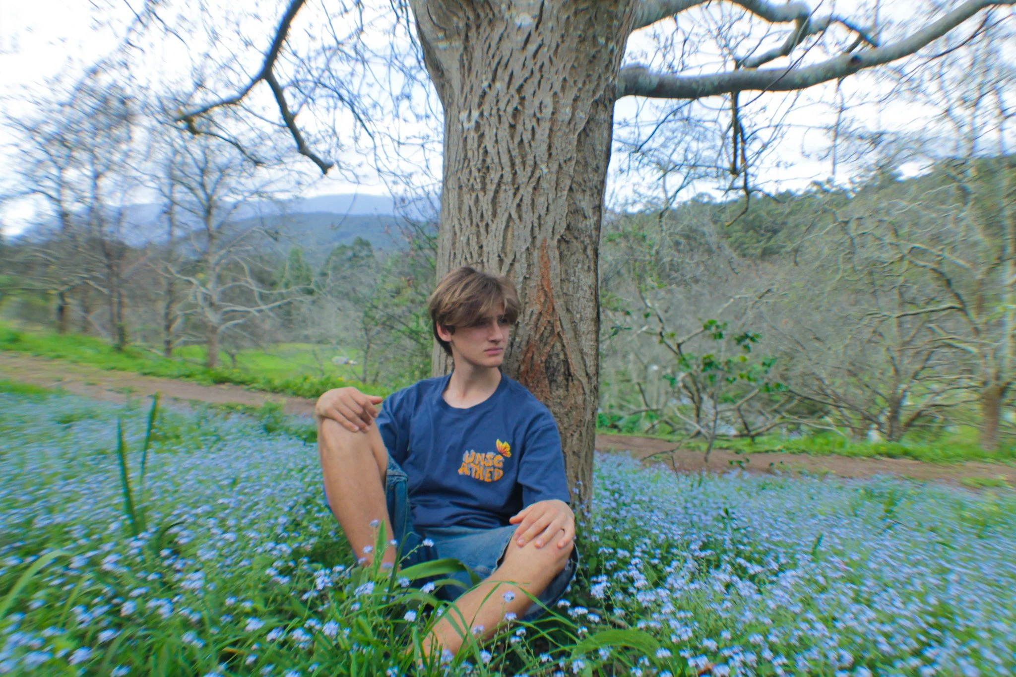 A young man sitting against a tree in a field of small blue flowers, with bare trees and a mountain in the background.
