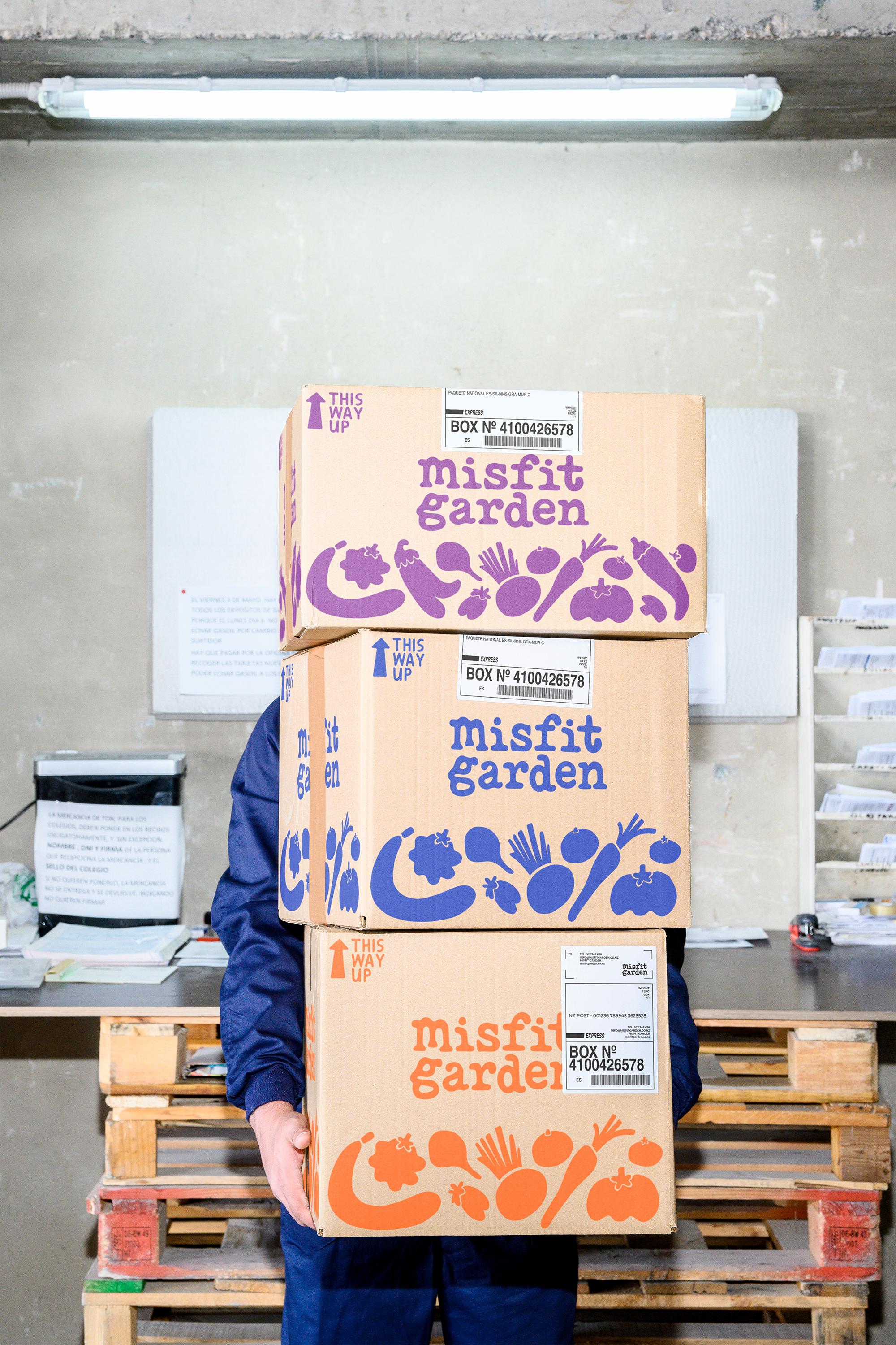 A person standing in front of a wall with shelves, holding a designed cardboard box labeled 'misfit garden' with coloured fruit and vegetable illustrations.