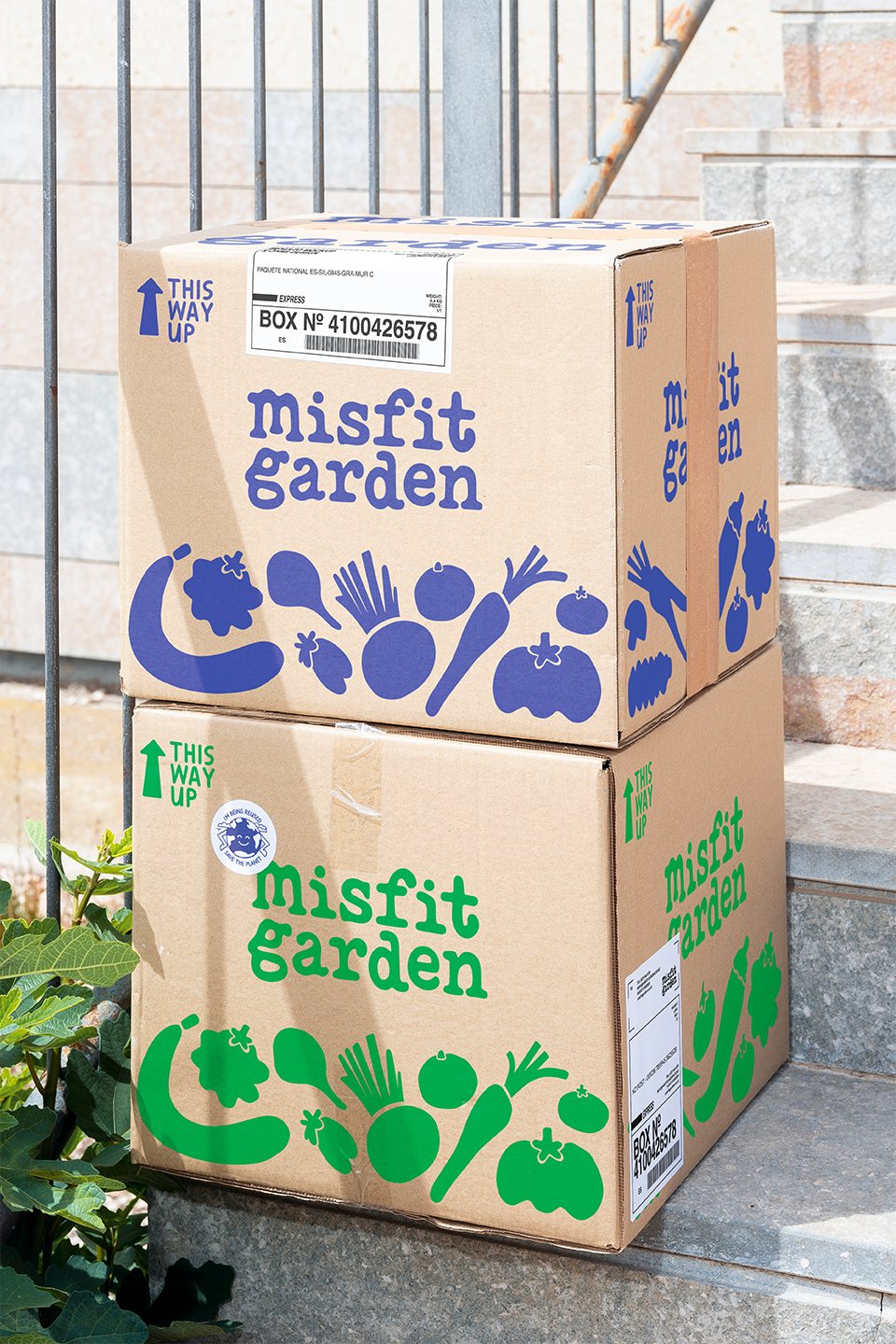 Two cardboard boxes labeled 'Misfit Garden' with illustrations of vegetables; the top box has blue text and images, and the bottom box has green text and images, placed on stone steps outdoors.