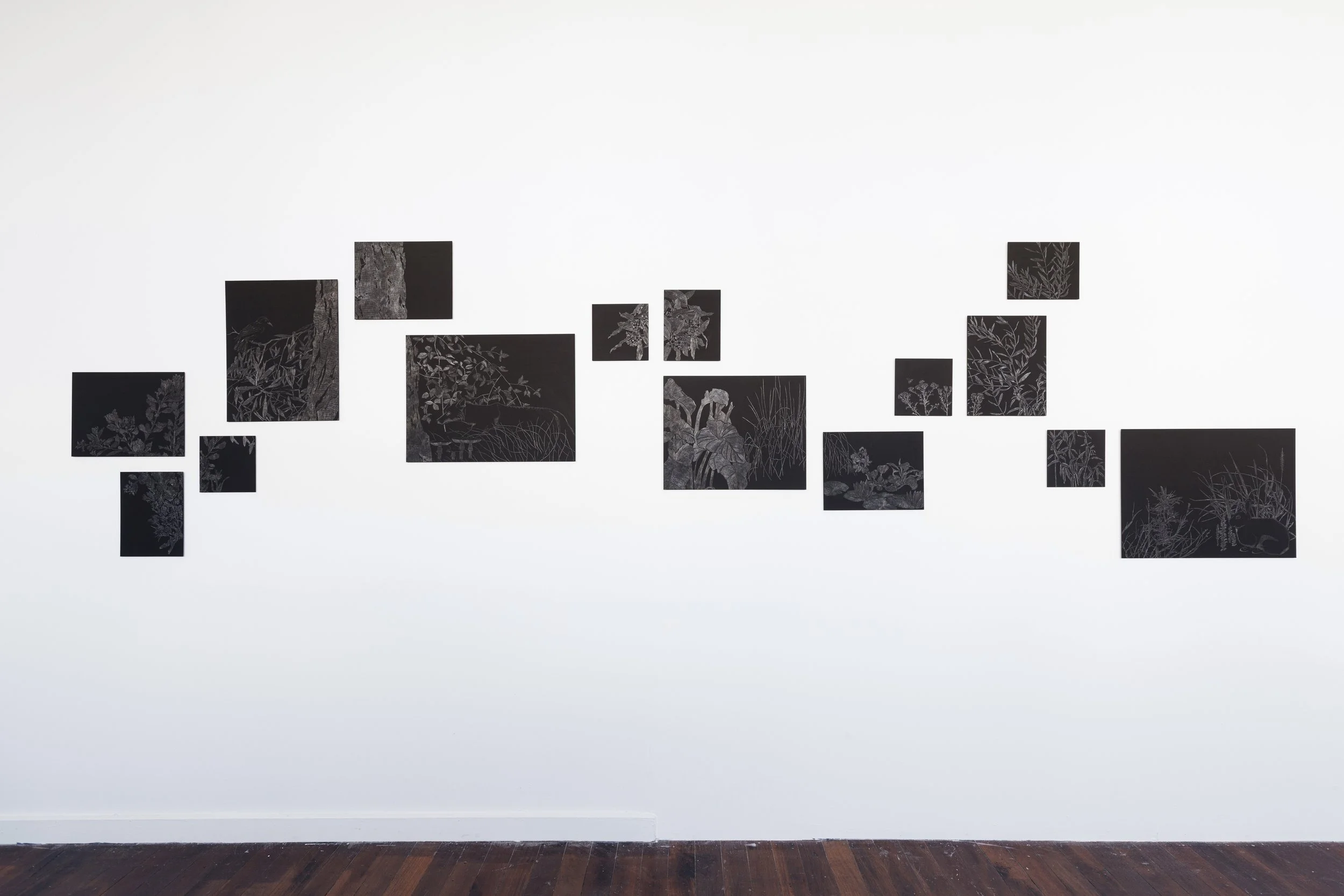 The Green Wallpaper, scratchboards of varying size, Post Office Projects Vestibule, photograph by Rosina Possingham